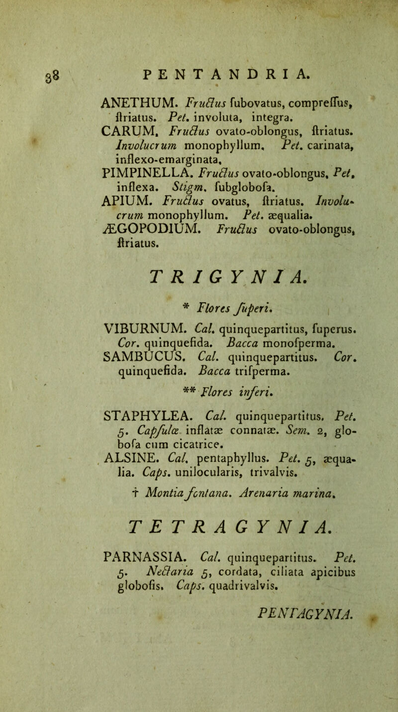 ANETHUM. FruBus fubovatus, compreflus, llriatus. Pet. involuta, integra. CARUM, FruBus ovato-oblongus, llriatus. Involucrum monophyllum, Pet, carinata, inflexo-emarginata, PIMPINELLA. FruBus ovato*oblongus, Pet, inflexa. Stigm, fubglobofa. APIUM. FruBus ovatus, llriatus. Involu* erum monophyllum. Pet. aequalia. ALGOPOD1UM. FruBus ovato-oblongus, llriatus. TRIGYNI A. * Flores fuperi. VIBURNUM. Cal, quinquepartitus, fuperus. Cor. quinquefida. Bacca monofperma. SAMBUCUS. Cal. quinquepartitus. Cor. quinquefida. Bacca trifperma. ** Flores inferi. STAPHYLEA. Cal. quinquepartitus. Pet. 5. Capfulce inflatae connatae. Sem. 2, glo- bofa cum cicatrice. ALSINE. Cal, pentaphyllus. Pet. aequa- lia. Caps. unilocularis, trivalvis. T Montia fontana. Arenaria marina. TETRAGYNI A. PARNASSIA. Cal. quinquepartitus. Pet. 5. NeBaria 5, cordata, ciliata apicibus globofis. Caps. quadrivalvis. PFNFAGYNIA.
