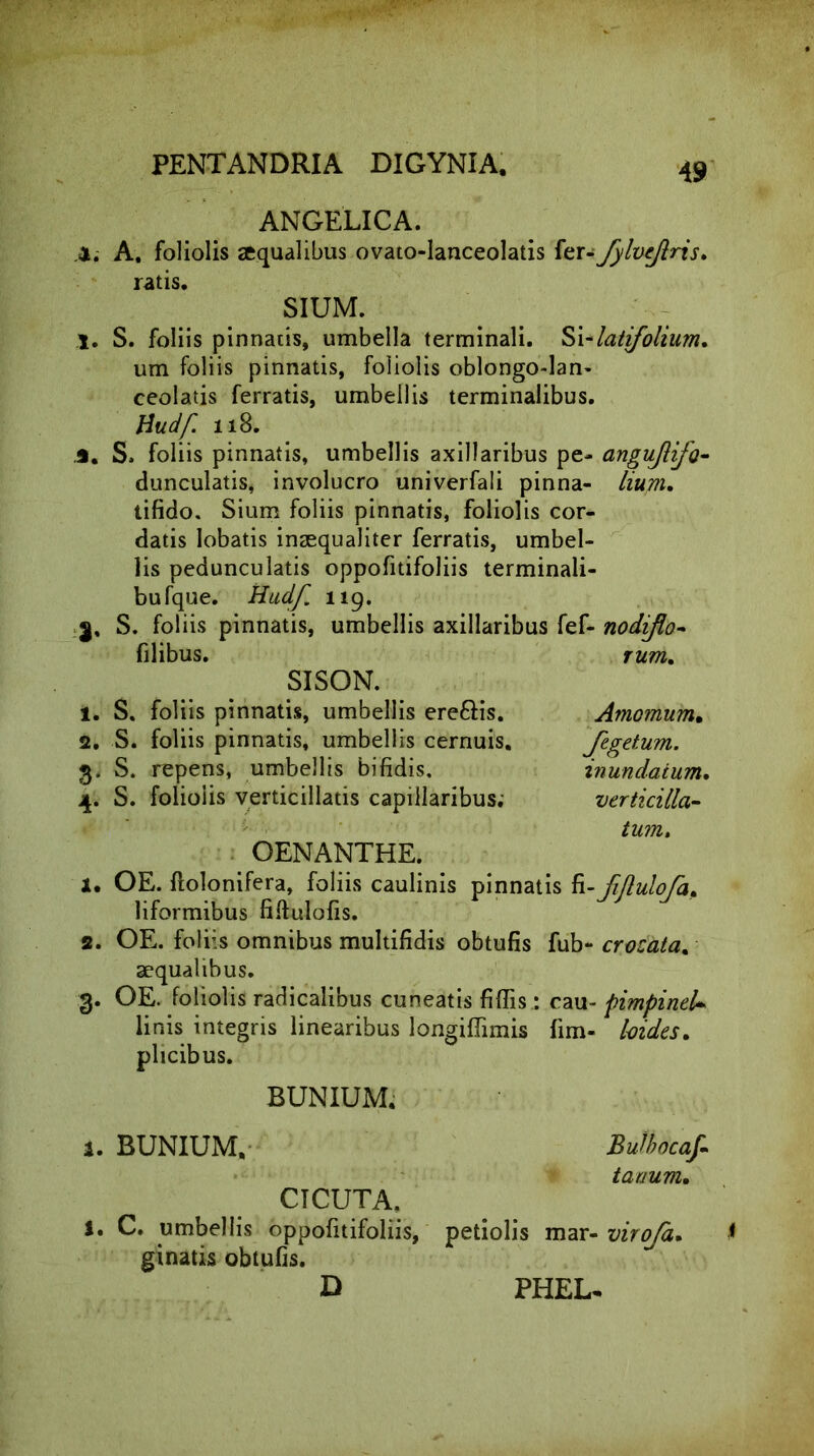 4. ANGELICA. A. foliolis aequalibus ovato-lanceolatis fer- fylvejlris. ratis. SIUM. 1. S. foliis pinnatis, umbella terminali. Si-latifolium. um foliis pinnatis, foliolis oblongo-lan- ceolatis ferratis, umbellis terminalibus. Hudf 118. j. S. foliis pinnatis, umbellis axillaribus pe- angujlifo- dunculatis, involucro univerfali pinna- liuyn, tifido. Sium foliis pinnatis, foliolis cor- datis lobatis inaequaliter ferratis, umbel- lis pedunculatis oppofitifoliis terminali- bufque. Hudf. 119. S. foliis pinnatis, umbellis axillaribus fef- nodiflo- filibus. rum, SISON. 1. S. foliis pinnatis, umbellis ere&is. 2. S. foliis pinnatis, umbellis cernuis. 3. S. repens, umbellis bifidis, 4. S. foliolis verticillatis capillaribus; Amomum. fegetum. inundatum, verticilla- tum. OENANTHE. 1. OE. flolonifera, foliis caulinis pinnatis fi- Mulofa, liformibus fiftulofis. 2. OE. foliis omnibus multifidis obtufis fub- crozata% aequalibus. 3. OE. foliolis radicalibus cuneatis filiis.: cau- pimpineU linis integris linearibus longiffimis lim- loides. plicibus. BUNIUM. a. BUNIUM, BuJbocaf tauum, CTCUTA, I. C. umbellis oppofitifoliis, petiolis mar- virofa. < ginatis obtufis. D PHEL-