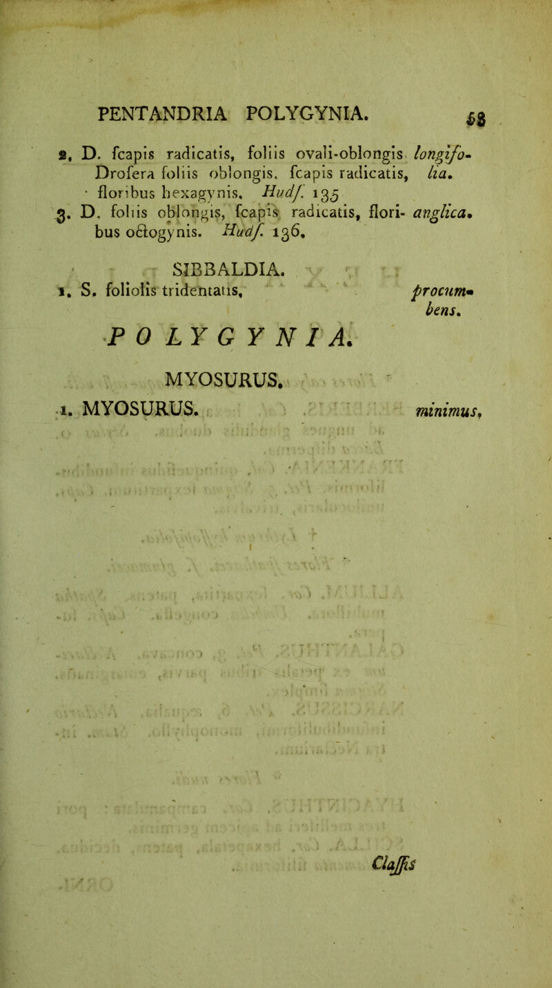 s, D. fcapis radicatis, foliis ovali-oblongis Drofera foliis oblongis, fcapis radicatis, • floribus hexagynis, Hudf. 135 3. D. foliis oblongis, fcapis radicatis, flori- bus o&ogynis. Hudf 136, SIRBALDIA. 1. S. foliolis tridetitatis, POLYGYNIA. MYOSU RUS. 1. MYOSURUS. v* • i :,:>a -v‘d longifo- lia, anglica• procum* bens. minimusf Claffis