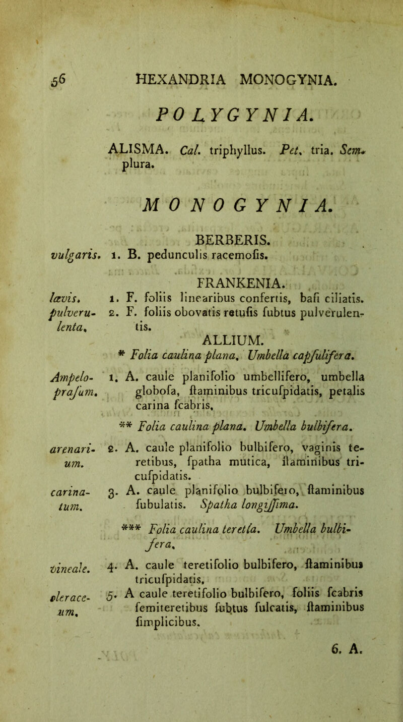 POLYGYNIA. ALISMA. Cal. triphyllus. Pet. tria. Sem. plura. MONOGYNIA. BERBERIS. vulgaris, i. B. pedunculis racemofis. /avis, pulveru- lenta, Ampelo- prafutn. arenari- um. carina- tum. vineale vlerace- 5 um, FRANKENIA. 1. F. foliis linearibus confertis, bafi ciliatis. 2. F. foliis obovatis retufis fubtus pulverulen- tis. ALLIUM. * Folia caulina plana, Umbella capfulifera. 1. A. caule planifolio umbellifero, umbella globofa, flaminibus tricufpidatis, petalis carina fcabris, ;.‘j . W fl ,rF L 1 * fi t 3V ‘ r*0 J ** Folia caulina plana. Umbella bulbifera. 2. A. caule planifolio bulbifero, vaginis te- retibus, fpatha mutica, flaminibus tri- cufpidatis. 3. A. caule planifolio bulbifeio, flaminibus Tubulatis. Spatha longijjima. *** Folia caulina teretia. Umbella bulbi- fera% 4. A. caule teretifolio bulbifero, flaminibus tricufpidatis, A caule teretifolio bulbifero, foliis fcabris femiteretibus fubtus fulcatis, flaminibus fimplicibus. 6. A.