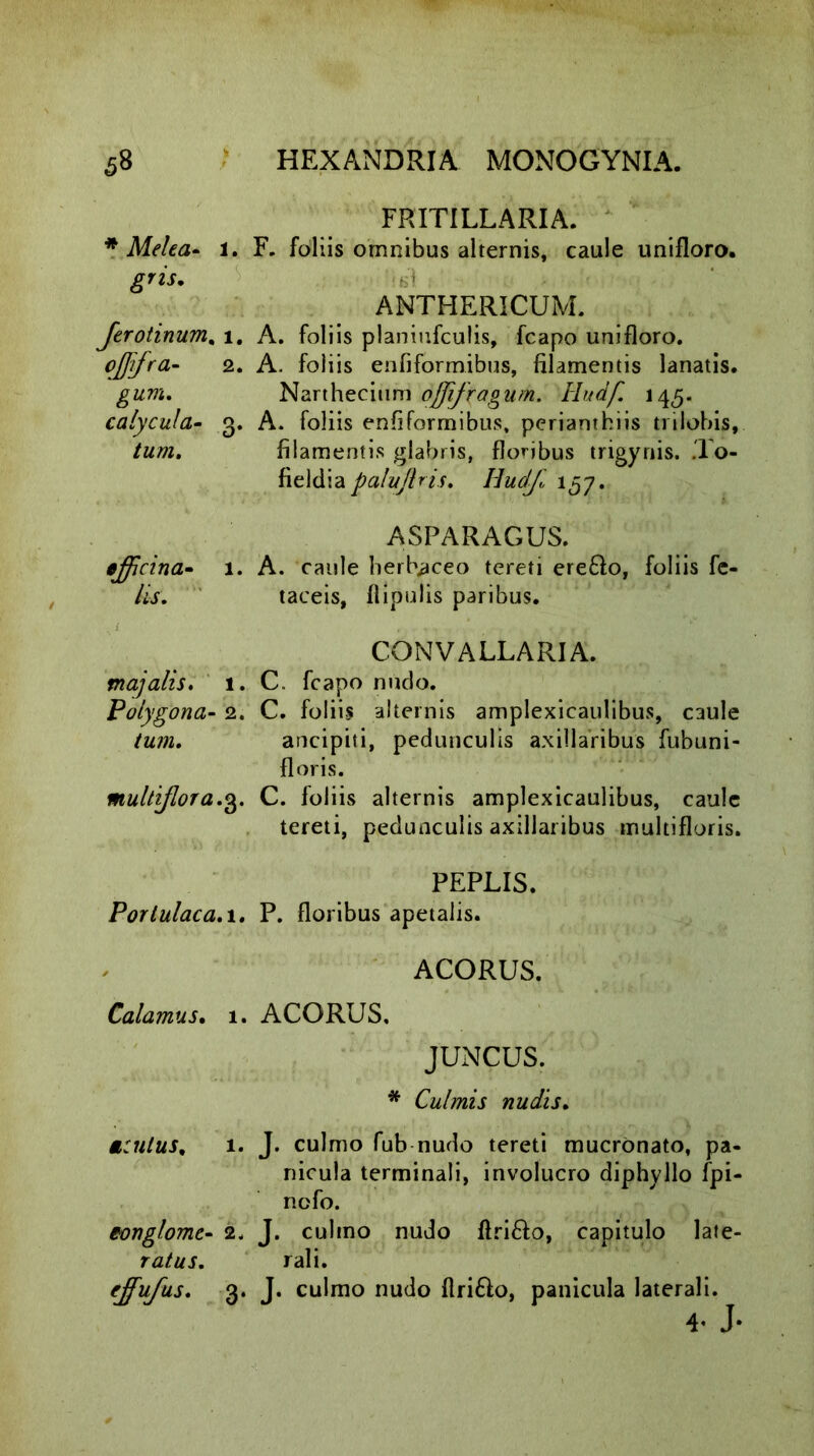 FRITILLARIA. * Melea- 1. F. foliis omnibus alternis, caule unifloro. gris. b'1 ANTHERICUM. Jerotinum% 1. A. foliis planiufculis, fcapo unifloro. °JJifra“ 2* A. foliis enfiformibus, filamentis lanatis. gum. Narthecium ojfifragum. Hudf. 145. calycula- 3. A. foliis enfiformibus, perianthiis trilobis, tum. filamentis glabris, flonbus trigynis. .To- fieldia palufiris. 1^7. ASPARAGUS. efficina- 1. A. caule herbaceo tereti ere&o, foliis fe- /A. taceis, flipulis paribus. CONVALLARI A. majalis. 1. C. fcapo nudo. Polygona- 2. C. foliis alternis amplexicaulibus, caule ancipiti, pedunculis axillaribus fubuni- floris. multiflora.3. C. foliis alternis amplexicaulibus, caule tereti, pedunculis axillaribus multifloris. PEPLIS. Portulaca.1. P. floribus apetalis. ACORUS. Calamus. 1. ACORUS. JUNCUS. * Culmis nudis. Mculus, 1. J. culmo fub nudo tereti mucronato, pa- nicula terminali, involucro diphyllo fpi- ncfo. eonglome- 2. J. culmo nudo flri&o, capitulo late- ratus. rali. cjfufus. 3. J. culmo nudo flri&o, panicula laterali. 4' J-