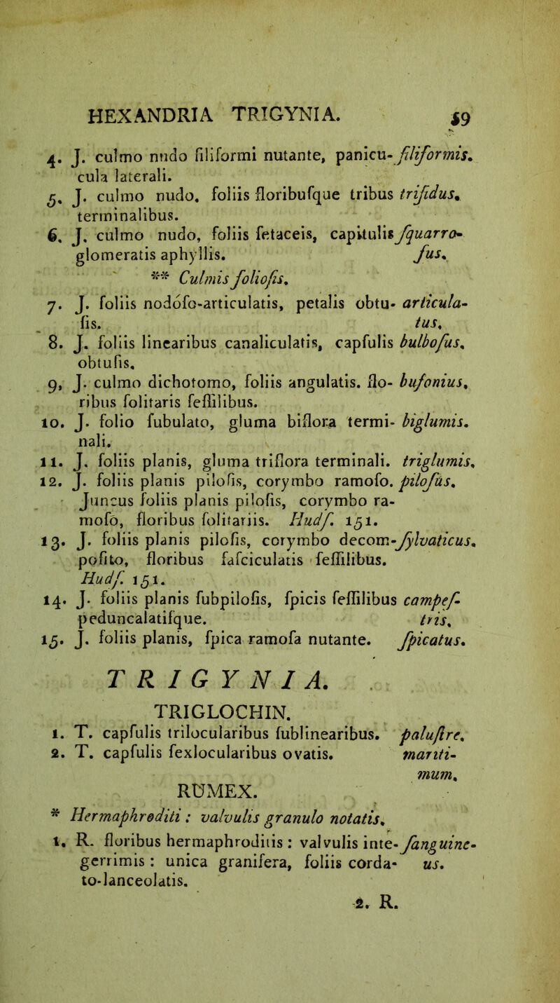 4. J. culmo nudo filiformi nutante, panicu-filiformis. cula laterali. J. culmo nudo, foliis terminalibus. 6. J, culmo nudo, foliis fetaceis, capitulisfquarro- glomeratis aphyIlis. /us* Culmis folio fis. 7. J. foliis nodofo-articulatis, petalis obtu- articula- fis. tus. 8. J. foliis linearibus canaliculatis, capfulis bulbofus% obtufis, 9. J. culmo dichotomo, foliis angulatis, flo- bufonius. ribus folitaris feflilibus. 10. J. folio fubulato, gluma b i flora termi- biglumis. nali. 11. J. foliis planis, gluma triflora terminali, triglumis. 12. J. foliis planis pilo fis, corymbo ramofo. pilo/asm Juncus foliis planis piiofis, corymbo ra- mofo, floribus folitariis. liudf 151. 13. J. foliis planis piiofis, corymbo decom-fylvaticus,, pofito, floribus fafciculatis fefTilibus. Hudf 151. 14. J. foliis planis fubpilofis, fpicis feflilibus campef- peduncalatifque. tris% 15. J. foliis planis, fpica ramofa nutante. /picatus. T R I G Y N I A. TRIGLOCHIN. 1. T. capfulis trilocularibus fublinearibus. paluftre. 2. T. capfulis fexlocularibus ovatis. mariti- mum% RUMEX. * Hermaphroditi: valvulis granulo notatis. t. R. floribus hermaphroditis : valvulis int/anguine- gerrimis: unica granifera, foliis corda- us. to-lanceolatis. floribufque tribus tri/dusm a. R.