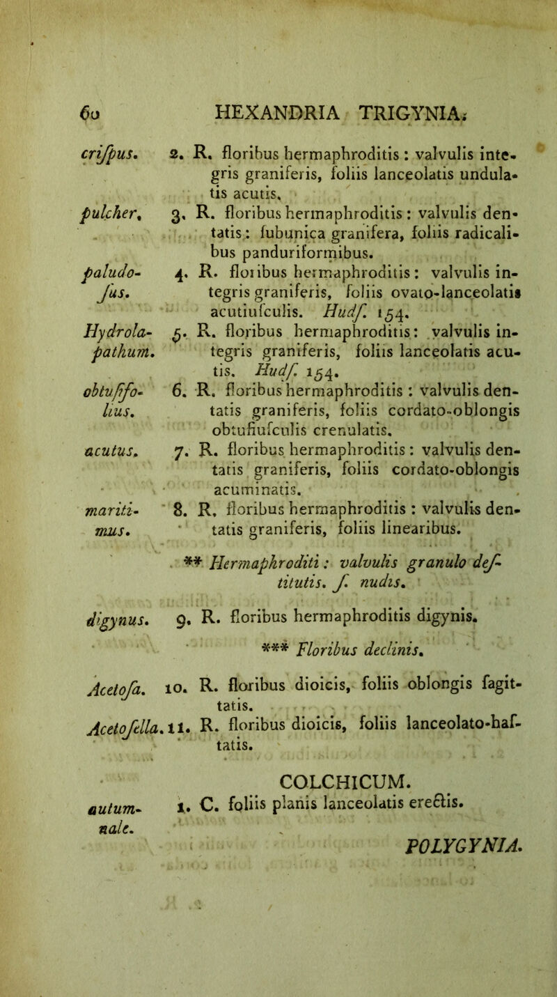 crifpus. 2. R. floribus hermaphroditis: valvulis inte- gris graniferis, foliis lanceolatis undula- tis acutis, pulcher, 3, R. floribus hermaphroditis : valvulis den- tatis : fubunica granifera, foliis radicali- bus panduriformibus. paludo- 4. R. floiibus hermaphroditis: valvulis in- Jus. tegris graniferis, foliis ovato-lanceolati» acutiufculis. Hudf. 154. Hydrola- R. floribus hermaphroditis: valvulis in- pathum. tegris graniferis, foliis lanceolatis acu- tis. Hudf. 154, obtujifo- 6. R. floribus hermaphroditis : valvulis den- hus. tatis graniferis, foliis cordato-oblongis obtufiufculis crenulatis. acutus„ 7. R. floribus hermaphroditis : valvulis den- tatis graniferis, foliis cordato-oblongis acuminatis. mariti- 8. R, floribus hermaphroditis : valvulis den- mus. tatis graniferis, foliis linearibus. ** Her?napkroditi: valvulis granulo def- titutis, f. nudis. digynus. 9. R* floribus hermaphroditis digynis. *** Floribus declinis, Acetofa. 10. R. floribus dioicis, foliis oblongis fagit- tatis. Acetoftlla. 11. R* floribus dioicis, foliis lanceolato-haf- tatis. COLCHICUM. 1. C. foliis planis lanceolatis ere&is. autum- nale. POLYGYNIA.