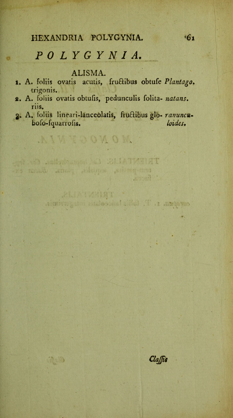 HEXANDRIA POLYGYNIA. <61 POLYGYNI A. ALISMA. 1. A. foliis ovatis acutis, fru&ibus obtufe Plantago. trigonis. 2. A. foliis ovatis obtufis, pedunculis folita- natans. riis. 2. A, foliis lineari-lanceolatis, fru&ibus glo- ranuncu- bofo-fquarrofis. loides. Clajis