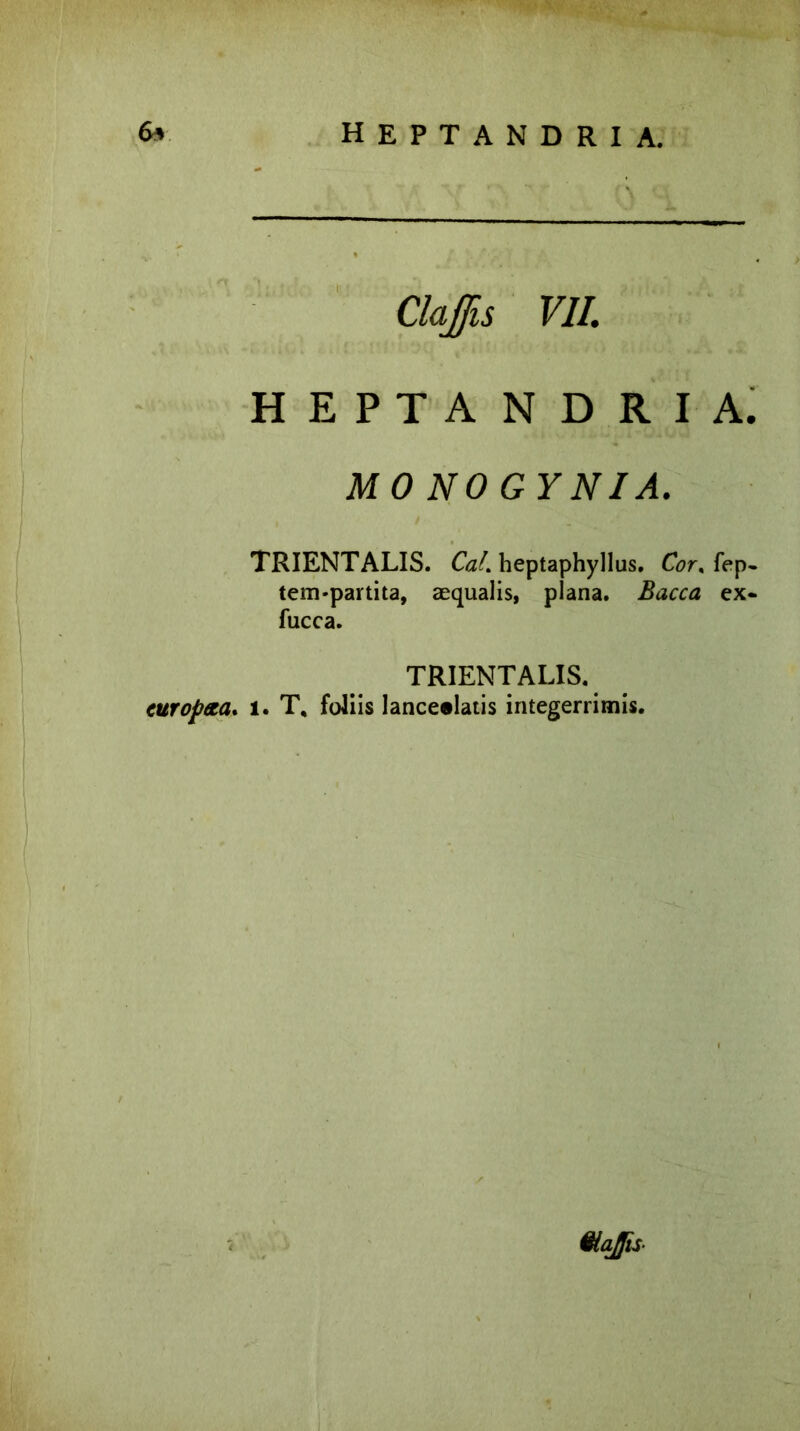 6» heptandria. Claffis VII. HEPTANDRIA. MO NOGYNIA. TRIENTALIS. Cal. heptaphyllus. Cor. fep- tem*partita, aequalis, plana. Bacca ex- fucca. TRIENTALIS. curopaa. l. T, foliis lanceelatis integerrimis.