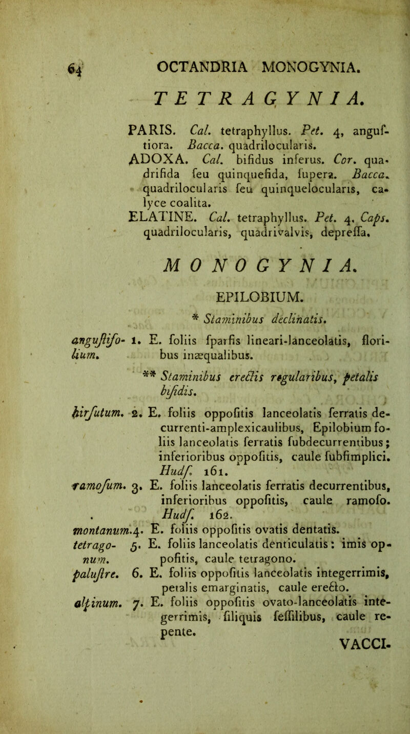 $4 OCTANDRIA MONOGYNIA. TETRAGYNI A. PARIS. Cal. tetraphyllus. Pet. 4, anguf- tiora. Bacca. quadrilocularis. ADOXA. Cal. bifidus inferus. Cor. qua- drifida feu quinquefida, fupera. Bacca. quadrilocularis feu quinquelocularis, ca- lyce coalita. E LATINE. Cal. tetraphyllus. Pet. 4. Caps. quadrilocularis, quadrivalvis, depreffa, MONOGYNIA. EPILOBIUM. * Staminibus declinatis. angujlifo- 1. E. foliis fparfis lineari-lanceolatis, flori- lium. bus inaequalibus. ** Staminibus eredis regularibus, petalis bifidis. fiirfutum. 2. E. foliis oppofitis lanceolatis ferratis de- currenti-amplexicaulibus, Epilobium fo- liis lanceolatis ferratis fubdecurrentibus; inferioribus oppofitis, caule fubfimplici. Hudf. 161. ramofum. 3. E. foliis lanceolatis ferratis decurrentibus, inferioribus oppofitis, caule ramofo. Hudf. 162. montanum.4. E. foliis oppofitis ovatis dentatis. tetrago- 5. E. foliis lanceolatis denticulatis : imis op- num. pofitis, caule tetragono. palujlre. 6. E. follis oppofitis lanceolatis integerrimis, petalis emarginatis, caule ere6to. alpinum. 7. E. foliis oppofitis ovato-lanceolatis inte- gerrimis, filiquis felfilibus, caule re- pente. VACCI-