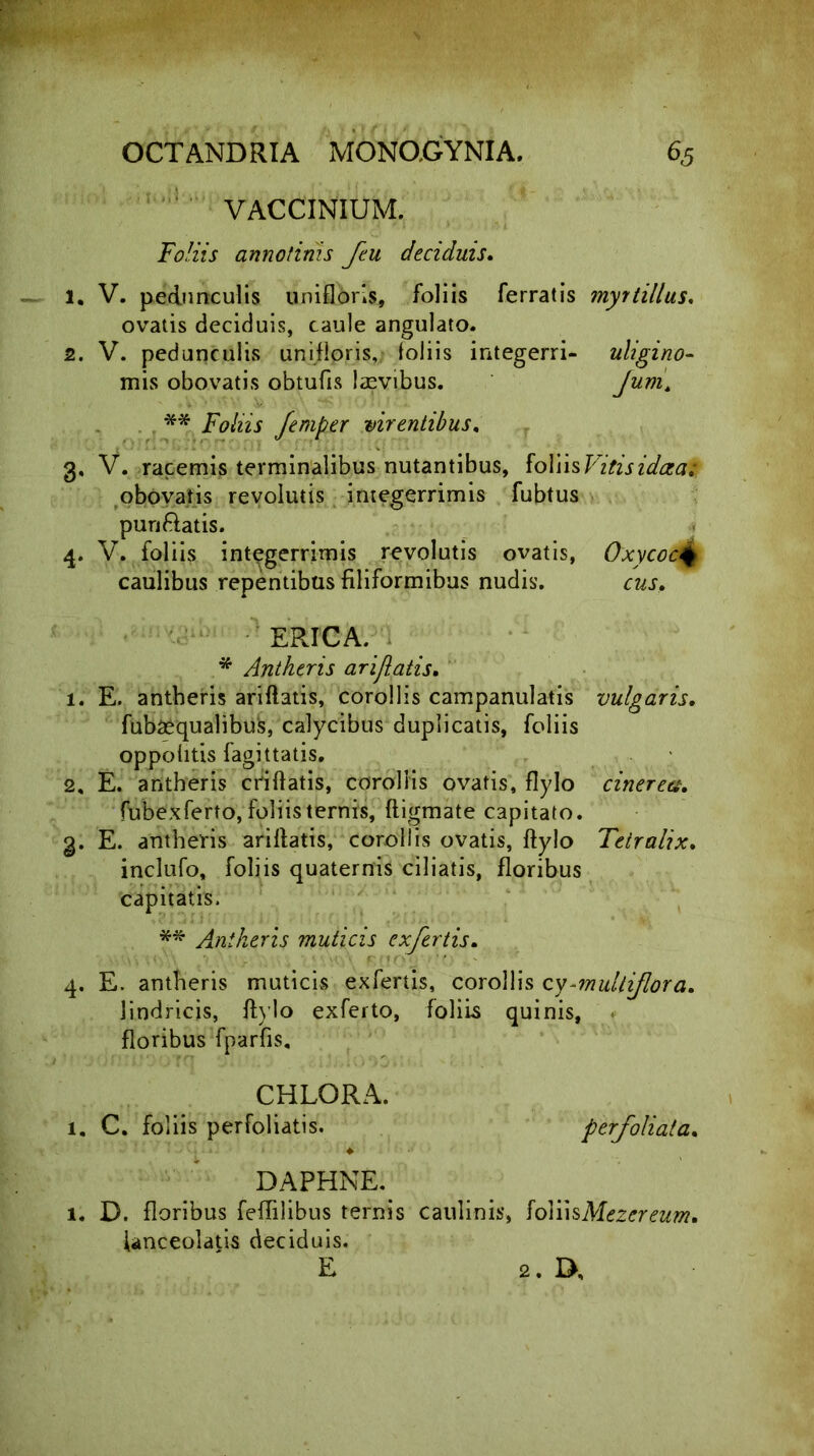 OCT AND RIA MONO.GYNIA. $5 VACCINIUM. Foliis annotinis feu deciduis. 1. V. pedunculis uniflbris, foliis ferratis myitillus. ovatis deciduis, caule angulato. 2. V. pedunculis unifloris, loliis mtegerri- uligino- mis obovatis obtufis laevibus. Jum, ** Foliis femper virentibus. 3. V. racemis terminalibus nutantibus, foliisVitisidaat obovatis revolutis integerrimis fubtus purj&atis. 4. V. foliis integerrimis revolutis ovatis, OxycocQ caulibus repentibus filiformibus nudis. c&j. ERICA. * Antheris ariflatis. 1. E. antheris ariflatis, corollis campanulatis vulgaris. fubsequalibus, calycibus duplicatis, foliis oppolitis fagittatis. 2. E. antheris criflatis, corollis ovatis, flylo cinerea. fubexferto, foliis ternis, digmate capitato. 3. E. antheris ariflatis, corollis ovatis, dylo Tetralix. inclufo, foliis quaternis ciliatis, floribus capitatis. ** Antheris muticis exfertis. 4. E. antheris muticis exfertis, corollis cy-multiflora. lindricis, dylo exferto, foliis quinis, floribus fparfis, CHLORA. 1. C. foliis perfoliatis. perfoliata. ♦ DAPHNE. 1. D. floribus felfilibus ternis caulinis, foYusMezereum. Unceolatis deciduis. E 2. D,