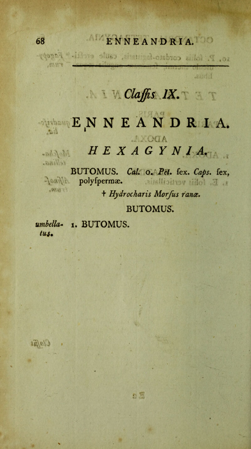 68 ENNEANDRIA. .r,V5*t iu6'J — IX. ‘Vn ENNEANDRIA. I J - JQ A HEXAGYNI A. BUTOMUS. CaL o. Pii. fex. Caps. fex, •\ a { polyfpermae. + Hydrocharis Morfus rance. BUTOMUS. i. BUTOMUS. tuu i i