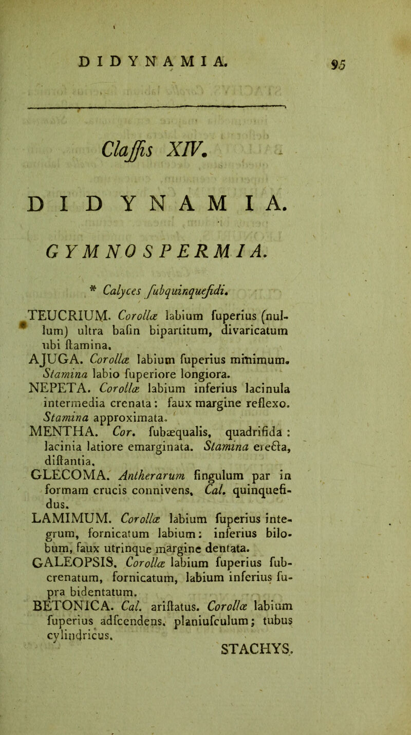9.5 Claffis XIV,. D I D Y N A M I A. GYM NO SPERMIA. * Calyces fubquinquejidi. TEUCRIUM* Corollae labium fuperius (nui- f lumj ultra bafin bipartitum, divaricatum ubi flamina. AJUGA. Corollae labium fuperius minimum. Stamina labio fuperiore longiora. NEPETA. Corollae labium inferius lacinula intermedia crenata: faux margine reflexo. Stamina approximata, MENTHA. Cor. fubaequalis, quadrifida : lacinia latiore emarginata. Stamina ere£la, diftantia, GLECOMA. Antherarum Angulum par in formam crucis connivens, Cal. quinquefi- dus. LAMIMUM. Corollae, labium fuperius inte- grum, fornicatum labium: inferius bilo- bum, faux utrinque margine dentata. GALEOPSIS. Corollae labium fuperius fub- crenatum, fornicatum, labium inferius fu- pra bidentatum. BETONICA. Cal. ariftatus. Corollae labium fuperius adfcendens. planiufculum; tubus cylindricus. STACHYS.
