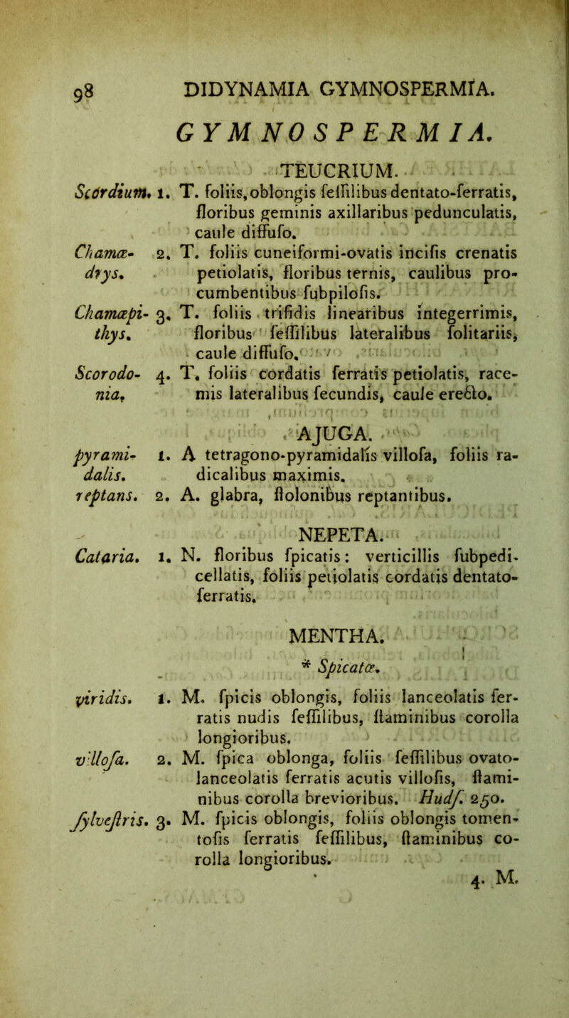 GY M NO S P E R M IA. TEUCRIUM. Sctirdiutil♦ 1. T. foliis,oblongis fellilibus dentato-ferratis, floribus geminis axillaribus pedunculatis, caule diffufo. Chamaz- 2. T. foliis cuneiformi-ovatis incifis crenatis chys. petiolatis, floribus ternis, caulibus pro- cumbentibus fubpilofis. Chamapi- 3, T. foliis trifidis linearibus integerrimis, thys. floribus feffilibus lateralibus folitariis, caule diffufo, Scorodo- 4. T. foliis cordatis ferratis petiolatis, race- niaf mis lateralibus fecundis, caule ere&o. * u-ii ,triuil'jiquuu) tui n o'd A JUGA. pyramU i. A tetragono-pyramidalis villofa, foliis ra- dalis. dicalibus maximis. reptans, 2. A. glabra, flolonibus reptantibus» NEPETA. Cattria. 1. N. floribus fpicatis: verticillis fubpedi. cellatis, foliis petiolatis cordatis dentato- ferratis, MENTHA. j * Spicata. viridis. 1. M, fpicis oblongis, foliis lanceolatis fer- ratis nudis feffilibus, flaminibus corolla longioribus, v llofa. 2. M. fpica oblonga, foliis feffilibus ovato- lanceolatis ferratis acutis villofis, flami- nibus corolla brevioribus. Hudf, 250. JylveJlris. 3. M. fpicis oblongis, foliis oblongis tomen- tofis ferratis feffilibus, flaminibus co- rolla longioribus. 4. M.