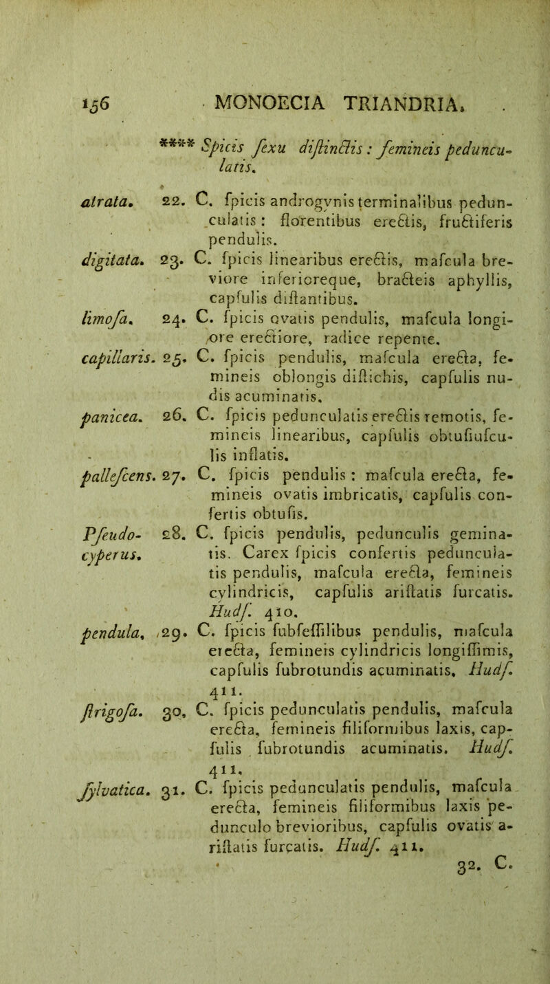 **** Spicis fexu dijlinElis: femineis peduncu- laris. atrata. 22. C. fpicis androgynis terminalibus pedun- culatis : florentibus ere&is, frudtiferis pendulis. digitata. 23. C. fpicis linearibus erc&is, mafcula bre- viore inferioreque, bra&eis aphyllis, capfulis diflantibus. limofa. 24. C. fpicis ovatis pendulis, mafcula longi- ore ere6tiore, radice repente, capillaris. 25, C. fpicis pendulis, mafcula erefta, fe- mineis oblongis diftichis, capfulis nu- dis acuminaris, panicea. 26. C. fpicis pedunculatis ere61is remotis, fe- mineis linearibus, capfulis obtufiufcu- lis inflatis. pallefcens. 27. C. fpicis pendulis : mafcula ere£la, fe- mineis ovatis imbricatis, capfulis con- fertis obtufis. Pfeudo- 28. C. fpicis pendulis, pedunculis gemina- cyperus. tis. Carex fpicis confertis peduncula- tis pendulis, mafcula erefla, femineis cylindricis, capfulis ariflatis furcatis. Hudf 410. pendula, /29. C. fpicis fubfeffilibus pendulis, mafcula etefta, femineis cylindricis longiflimis, capfulis fubrotundis acuminatis, Hudf. 411- . jlrigofa. 30, C. fpicis pedunculatis pendulis, mafcula erefta, femineis filiformibus laxis, cap- fulis fubrotundis acuminatis. Hudf 411- fylvatica. 31. C. fpicis pedunculatis pendulis, mafcula erefta, femineis filiformibus laxis ‘pe- dunculo brevioribus, capfulis ovatis a- riflatis furcatis. Hudf 411. 32. c.