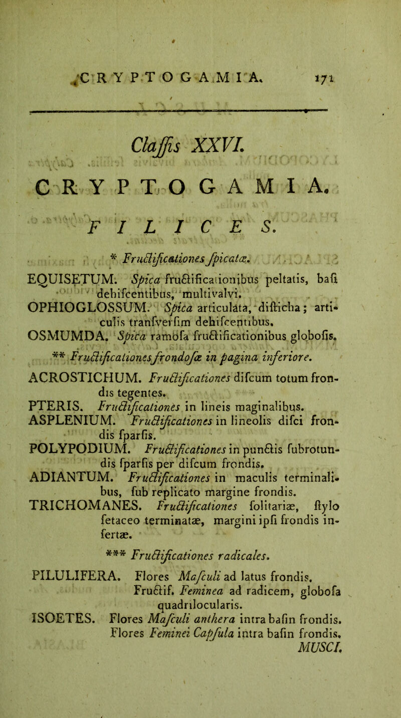 Clajjis XXVI. CRYPTO GAMIA. FILICES. * Frudific&tiones jpicata% EQUISETUM. Spica fmCiificaiionibtis peltatis, baft dehifcentibus, multivalvi. OPHIOGLOSSUM. Spica articulata, difticha; arti- culis tranfverfim dehifcepubus, OSMUMDA. Spica rambfa fructificationibus globofis, ** Frudificalionesfrondofce in pagina inferiore. ACROSTICHUM. Frudificationes difeum totum fron- dis tegentes. PTERIS. Frudifcationts in lineis raaginalibus. ASPLENIUM. Frudificationes in lineolis difei fron- dis fparfis. POLYPODIUM. Frudificationes in pun&is fubrotun- dis fparfis per difeum frondis, ADIANTUM. Frudificationes in maculis terminali- bus, fub replicato margine frondis. TRICHOMANES. Frudificationes foiitariae, ftylo fetaceo terminatae, margini ipfi frondis in- fertae. Frudifcationes radicales. PILULIFERA. Flores Mafculi ad latus frondis. Fruftif. Feminea ad radicem, globofa quadnlocularis. ISOETES. Flores Mafculi anthera intra bafin frondis. Flores Feminei Capfula intra bafin frondis, musci;