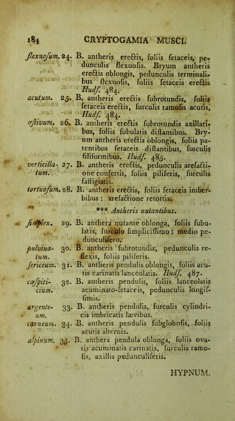 JlexuoJum. 24. B. antheris ere£lis, foliis fetaceis, pe- dunculis flexuofis. Bryum antheris ere£iis oblongis, pedunculis terminali- bus flexuofis, foliis fetaceis ere£lis Hudf 484, acutum, 25. B. antheris ere£tis fubrotundis, foliis fetaceis ereQis, furculis ramofis acutis, ■ ■ ^^ 484- ctjtivum, 20» B. antheris ere£Us fubrotundis axillari- bus, foliis fubulatis diflantibus. Bry- um antheris ereftis oblongis, foliis pa- tentibus fetaceis diftantibus, furculis filiformibus. Hudf. 48,5. verticilla- 27. B. antheris ere&is, pedunculis arefa£li- tum. one confertis, foliis piliferis, furculis fafligiatis. tortuofum,<2&. B. antheris ere&is, foliis fetaceis imber- bibus : arefa&ione retortis. Antheris nutantibus, fitrtflex, 29. B. anthera nutante oblonga, foliis Tubu- latis, furculo fimpliciffimo : medio pe- dunculifero. pulvina- 30. B. antheris fubrotundis, pedunculis re- tum. flexis, foliis piliferis. fericeum. 31. B. antheris pendulis oblongis, foliis acu- tis carinatis lanceolatis. Hudf. 487. ccfpiti- 32. B. antheris pendulis, foliis lanceolatis cium. acuminato-fetaceis, pedunculis longif- fimis. argente- 33. B. antheris pendulis, furculis cylindri- um. cis imbricatis laevibus. camcum. 34. B. antheris pendulis fubglobofis, foliis acutis alternis. a/pinum. 3^. B. anthera pendula oblonga, foliis ova- tis acuminatis carinatis, furculis ramo- fis, axillis pedunculiferis. HYPNUM.