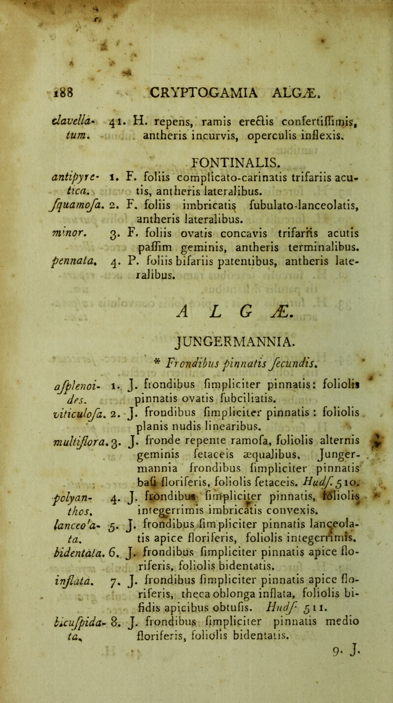 davelia* 41. H. repens, ramis ereclis confertiflimis, tum. antheris incurvis, operculis inflexis. FONTINALIS. antipyre* 1. F. foliis complicato-carinatis trifariis acu- tica. tis, antheris lateralibus. fyuamofa. 2. F. foliis imbricati^ fubulato-lanceolatis, antheris lateralibus. minor. 3. F. foliis ovatis concavis trifariis acutis paflim geminis, antheris terminalibus. pennata, 4. P. foliis bifariis patentibus, antheris late- ralibus. A L G JE. JUNGERMANNIA. * Frondibus pinnatis fecundis. afplenoi- 1. J. frondibus fimpliciter pinnatis: foliolis des. pinnatis ovatis fubciliatis. viticulofa. 2. J. frondibus fimpliciter pinnatis : foliolis planis nudis linearibus. multiflora. 3. J- fronde repente ramofa, foliolis alternis geminis fetaceis aequalibus, Junger- mannia frondibus fimpliciter pinnatis bafi floriferis, foliolis fetaceis. Hudf 510. polyan- 4. J. ftondibu* fimplicker pinnatis, foliolk thos. integerrimis imbricatis convexis. lanceo'a~ 5. J. frondibus fimpliciter pinnatis lanqeola- ta. tis apice floriferis, foliolis integernmis. bidentata. 6, J. frondibus fimpliciter pinnatis apice flo- riferis, foliolis bidentatis. inflata. 7, J. frondibus fimpliciter pinnatis apice flo- riferis, theca oblonga inflata, foliolis bi- fidis apicibus obtufis. Hudf 5 11. bicufpida- 8. J. frondibus fimpliciter pinnatis medio ta, floriferis, foliolis bidentalis. 9- J-