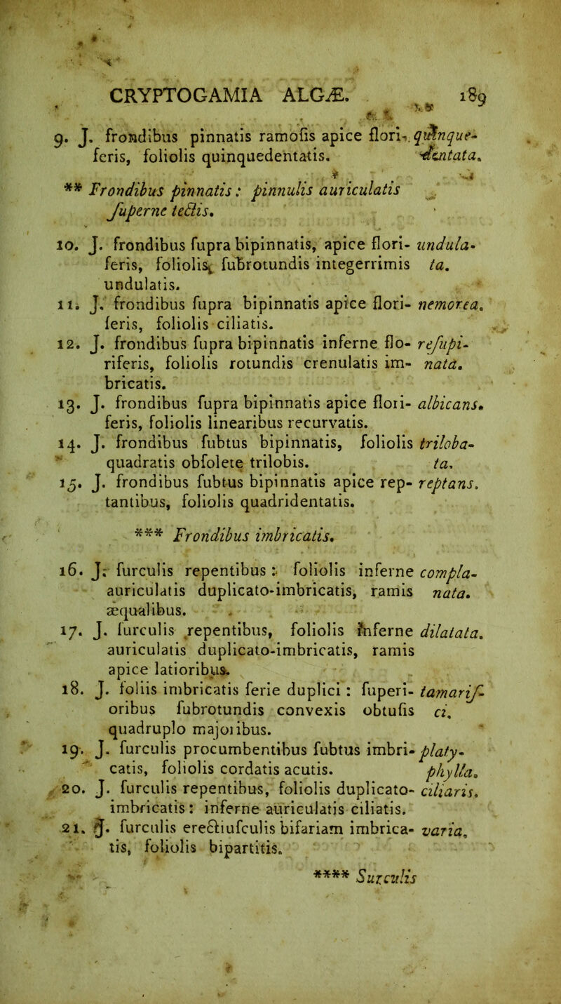 r \ ', 4f 9. J, frondibus pinnatis ramofis apice quinque* feris, foliolis quinquedentatis. dentata* * . . 4 ** Frondibus pinnatis: pinnulis auriculatis Jiiperne ledis, 10. J. frondibus fupra bipinnatis, apice flori- undula- feris, foliolis^ fubrotundis integerrimis ta. undulatis. ili J, frondibus fupra bipinnatis apice flori- nemore a* feris, foliolis ciliatis. 12. J. frondibus fupra bipinnatis inferne flo- refupu riferis, foliolis rotundis crenulatis im- nata, bricatis. 13. J. frondibus fupra bipinnatis apice flori- albicans• feris, foliolis linearibus recurvatis. 14. J. frondibus fubtus bipinnatis, foliolis triloba- quadratis obfolete trilobis. ta, 15. J. frondibus fubtus bipinnatis apice rep- reptans. tantibus, foliolis quadridentatis. *** Frondibus imbricatis, 16. J; furculis repentibus :< foliolis inferne compla- auriculatis duplicato-imbricatis, ramis nata. aequalibus. 17. J. furculis ^repentibus, foliolis inferne dilatata. auriculatis duplicato-imbricatis, ramis apice latioribus. 18. J. foliis imbricatis ferie duplici : fuperi- tamarif- oribus fubrotundis convexis obtufis «, quadruplo majoribus. 19. J. furculis procumbentibus fubtus imbri- platy» catis, foliolis cordatis acutis. phylla. 20. J. furculis repentibus, foliolis duplicato- ciliaris. imbricatis: inferne auriculatis ciliatis. 21. furculis ereftiufculis bifariam imbrica- varia, tis, foliolis bipartitis. **** Surculis