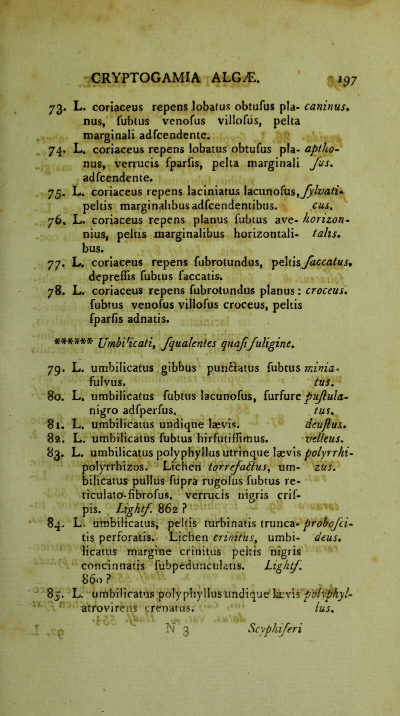 »97 73. L. coriaceus repens Iobatus obtufus pia- caninus* nus, fubtus venofus villoftis, pelta marginali adfcendente. 74. L, coriaceus repens Iobatus obtufus pia- aptho- nus, verrucis fparfis, pelta marginali Jus, adfcendente. 75. L. coriaceus repens laciniatus lacunofus,^/^^ peltis marginalibus adfcendentibus. cus, 76. L. coriaceus repens planus fubtus ave- horizon- nius, peltis marginalibus horizontali- talis, bus. 77. L. coriaceus repens fubrotundus, peltis faecatus» depreflis fubtus faecatis. 78. L. coriaceus repens fubrotundus planus: croceus. fubtus venofus villofus croceus, peltis fparfis adnatis. ****** UmbVicati, fqualentes quaffuligine, 79. L. umbilicatus gibbus pun£htus fubtus minia* fulvus. tus, 80. L. umbilicatus fubtus lacunofus, furfure puftula- nigro adfperfus, tus, 81. L. umbilicatus undique laevis. deujlus, 82. L. umbilicatus fubtus hirfutilfimus. velleus. 83. L. umbilicatus polyphyllus utrinque laevis polyrrhi- polyrrhizos. Lichen torrefaElus, um- zus, bilicatus pullus fupra rugolus fubtus re- ticulato-fibrofus, verrucis nigris crif- pis. Lightf. 862 ? 84. L. umbilicatus, peltis turbinatis trunca- probojei- tis perforatis. Lichen crinitus, umbi- deus, licatus margine crinitus peltis nigris concinnatis fubpedunculatis. Lightf. 860 ? 85. L. umbilicatus polyphyllus undique \zey\s polyphyl- atrovirens crenatus. Ius,