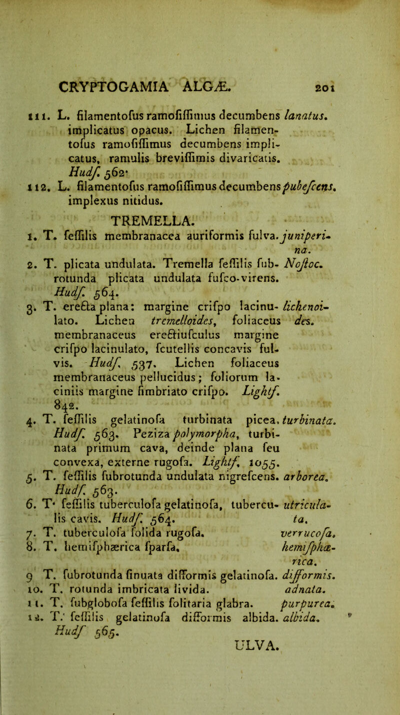 111. L. filamentofus ramofiflitnus decumbens lanatus. implicatus opacus. Lichen filamen- tofus ramofiflitnus decumbens impli- catus, ramulis breviflimis divaricatis. Hudf 562* 112. L. filamentofus ramofifTimusdecumbens^^^/rw. implexus nitidus. TREMELLA. 1. T. feflilis membranacea auriformis fulva, juniperi* na. 2. T. plicata undulata. Tremella feflilis fub- Nojioc. rotunda plicata undulata fufco* virens. Hudf. ,564. 3. T. ere&a plana: margine crifpo lacinu- lichenoi- lato. Lichen tremelloidcs, foliaceus de s. membranaceus ere&iufculus margine crifpo lacinulato, fcutellis concavis ful- vis. Hudf. 537. Lichen foliaceus membranaceus pellucidus; foliorum la- ciniis margine fimbriato crifpo. Lightf. 842. 4. T. feflilis gelatinofa turbinata picea, turbinata» Hudf. 563. Peziza polymorpha, turbi- nata primum cava, deinde plana feu convexa, externe rugofa. Lightf 1055. 5. T. feflilis fubrotunda undulata nigrefcens. arborea. Hudf. 563. 6. T* feflilis tuberculofa gelatinofa, tubercu- utricula- lis cavis. Hudf 564. ta. 7. T. tuberculofa folida rugofa. verrucofa. 8. T. hemifpbaerica fparfa, hemifphx- nca. 9 T. fubrotunda finuata dififormis gelatinofa. dijformis. 10. T. rotunda imbricata livida. adnata. it. T. fubglobofa feflilis folitaria glabra. purpurea. 1 a. T/feflilis gelatinofa difFormis albida, albida. Hudf 565. ULVA.
