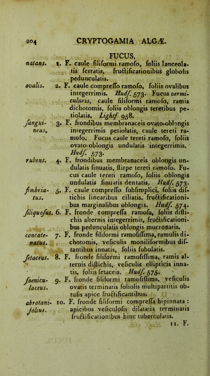 natans. ovalis. /angui, nens, rubens. fimbria- tus. concate- natus. Jdaceus. foenicu- laetus. abrotani- Jtilius. FUCUS, 1. F. caule filiformi ramofo, foliis lanceola* tis ferratis, fru&ificationibus globofis pedunculatis. 2. F. caule compreflo ramofo, foliis ovalibus integerrimis. Hudf. 573. Fucus vermi- cularis, caule filiformi ramofo, ramis dichotomis, foliis oblongis teretibus pe- tiolalis, Lightf 958. 3. F. frondibus membranaceis ovato-oblongis integerrimis petiolatis, caule tereti ra- mofo. Fucus caule tereti ramofo, foliis ovato-oblongis undulatis integerrimis. Hudf- 573- 4. F. frondibus membranaceis oblongis un- dulatis finuatis, ftirpe tereti ramofo. Fu- cus caule tereti ramofo, foliis oblongis undulatis finuatis dentatis. Hudf. 573. 5. F. caule compreflo fubfirnplici, foliis dif- tichis linearibus ciliatis, fruftificationi- bus marginalibus oblongis. Hudf. ,574. 6. F. fronde comprefla ramofa, foliis difti- chis alternis integerrimis, fru&ificationi- bus pedunculatis oblongis mucronatis. 7. F. fronde filiformi ramofiflima, ramulis di- chotomis, veficulis moniliformibus dif- tantibus innatis, foliis fubulatis. 8. F. fronde filiformi ramofiflima, ramis al- ternis diflichis, veficulis ellipticis inna- tis, foliis fetaceis. Hudf. 575. 9. F. fronde filiformi ramofiflima, veficulis ovatis terminatis foliolis multipartitis ob« tufis apice fructificantibus. 10. F. fronde filiformi comprefla bipinnata : apicibus veficulofis dilatatis terminatis fruftificationibus hinc tuberculatis.