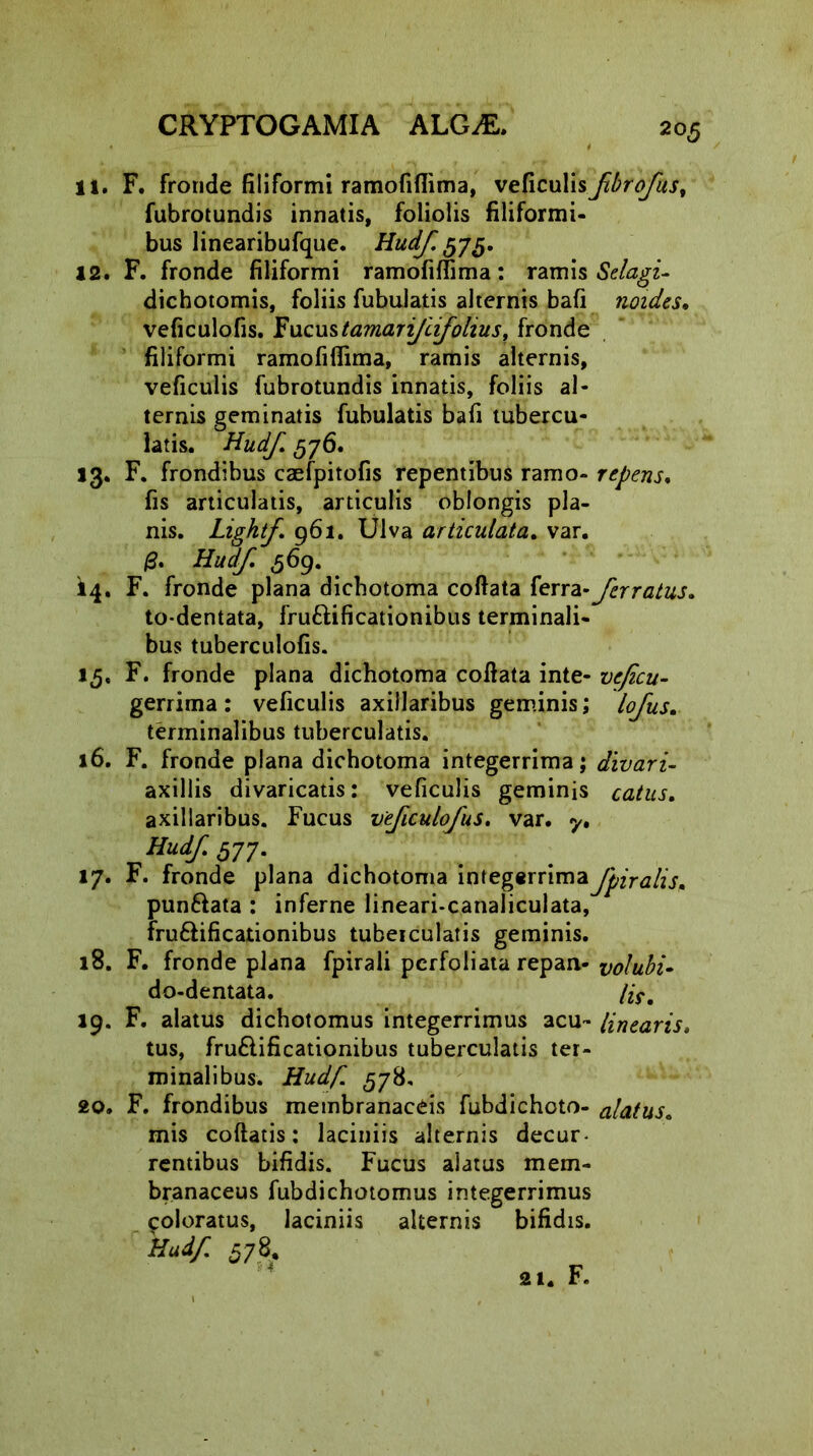 11. F. fronde filiformi ramofiflima, vehcuMsfbrofus, fubrotundis innatis, foliolis filiformi- bus linearibufque. Hudf. 575. 12. F. fronde filiformi ramofiflima: ramis Sclagi- dichotomis, foliis fubulatis alternis bafi noides. veficulofis. Fucustamcnijiifolius, fronde filiformi ramofiflima, ramis alternis, veficulis fubrotundis innatis, foliis al- ternis geminatis fubulatis bafi tubercu- latis. Hudf. 576. 13. F. frondibus casfpitofis repentibus ramo- repens. fis articulatis, articulis oblongis pla- nis. Lightf 961. Ulva articulata. var. 0. Hudf 5 69. . iij. F. fronde plana dichotoma coftata ferra- ferratus. to-dentata, fru&ificationibus terminali- bus tuberculofis. 15. F. fronde plana dichotoma coftata inte- veficu- gerrima: veficulis axillaribus geminis; lofus. terminalibus tuberculatis. 16. F. fronde plana dichotoma integerrima; divari- axillis divaricatis: veficulis geminis catus. axillaribus. Fucus veficulofus. var. y. Hudf. 577. 17. F. fronde plana dichotoma integerrimaJpiralis; pun&ata : inferne lineari-canaliculata, fru&ificationibus tuberculatis geminis. 18. F. fronde plana fpirali pcrfoliata repan- yolubi- do-dentata. /2># 19. F. alatus dichotomus integerrimus acu- linearis» tus, fruftificationibus tuberculatis ter- minalibus. Hudf. 578, 20. F. frondibus membranaceis fubdichoto- alatus. mis coftatis: laciniis alternis decur- rentibus bifidis. Fucus alatus mem- branaceus fubdichotomus integerrimus ^oloratus, laciniis alternis bifidis. Hudf. 578.