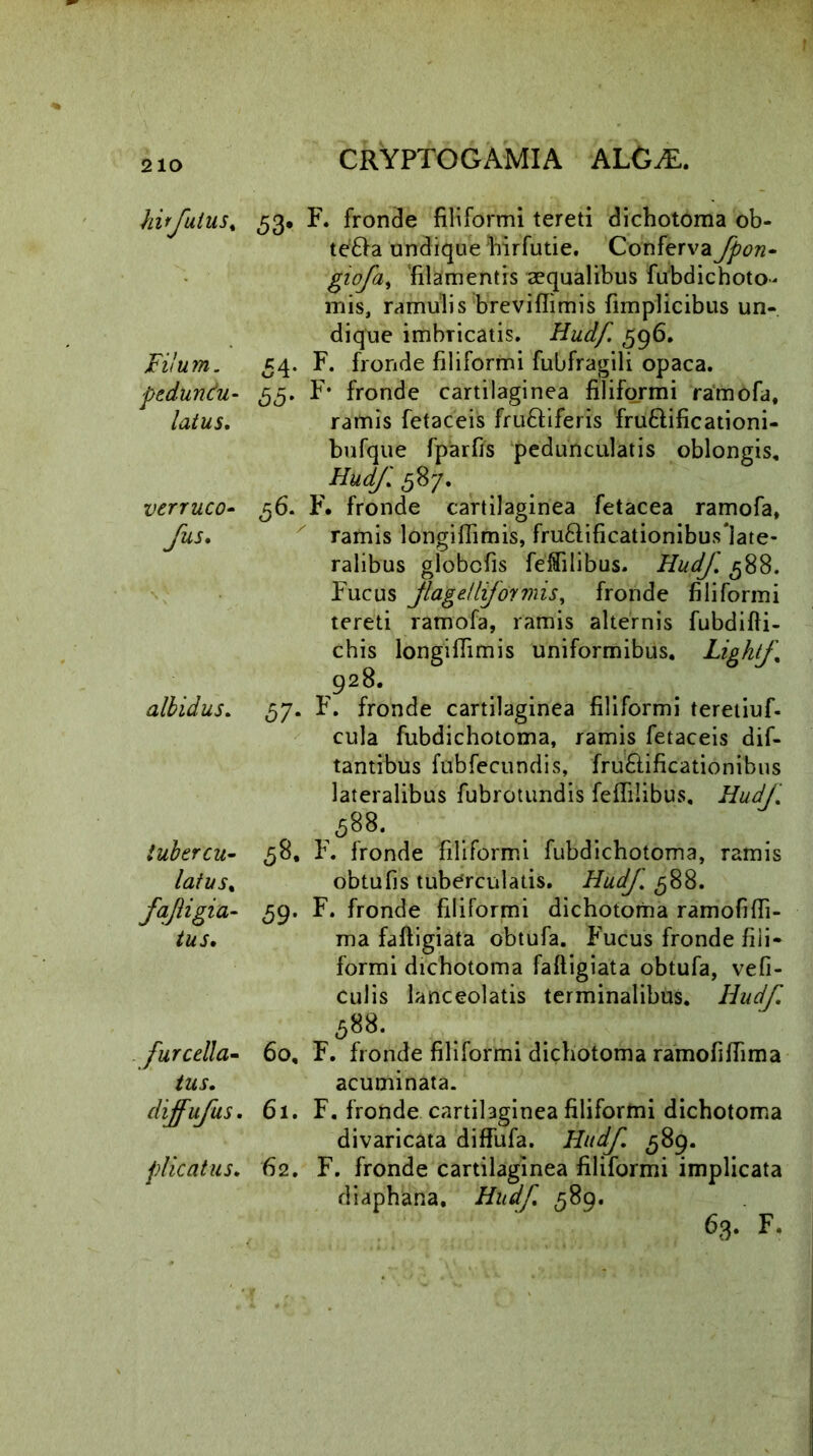 210 hifuius. 53* F. fronde filiformi tereti dichotoma ob- te’£fa undique blrfutie. Conferva fpon• giofa^ filamentis aequalibus fubdichoto- mis, ramulis breviflimis fimplicibus un- dique imbricatis. Hudf. 596. Filum. 54. F. fronde filiformi fubfragili opaca. ptdundu- 55. F* fronde cartilaginea filiformi ramofa, latus. ramis fetaceis fru&iferis fru&ificationi- bufque fparfis peduncularis oblongis, Hudf. 587. verruco- 56. F. fronde cartilaginea fetacea ramofa, fus, ramis longiflimis, fru£rificationibus‘late- ralibus globcfis feflilibus. Hudf. g88. Fucus Jlage/lformis, fronde filiformi tereti ramofa, ramis alternis fubdifti- chis longiflimis uniformibus. Lightf 928. albidus. 57. F. fronde cartilaginea filiformi teretiuf- cula fubdichotoma, ramis fetaceis dif- tantibus fubfecundis, fru£fificationibus lateralibus fubrotundis feflilibus, Hudf .588. iubercu- 58, F. fronde filiformi fubdichotoma, ramis latus. obtufis tuberculatis. Hudf 588. fajligia- 59. F. fronde filiformi dichotoma ramofifli- tus. ma faftigiata obtufa. Fucus fronde fili- formi dichotoma faftigiata obtufa, vefi- culis lanceolatis terminalibus. Hudf. 588. furcella- 60, F. fronde filiformi dichotoma ramofifiima tus. acuminata. dijfufus. 61. F. fronde cartilaginea filiformi dichotoma divaricata diffufa. Hudf. 589. plicatus. 62. F. fronde cartilaginea filiformi implicata diaphana. Hudf 589.
