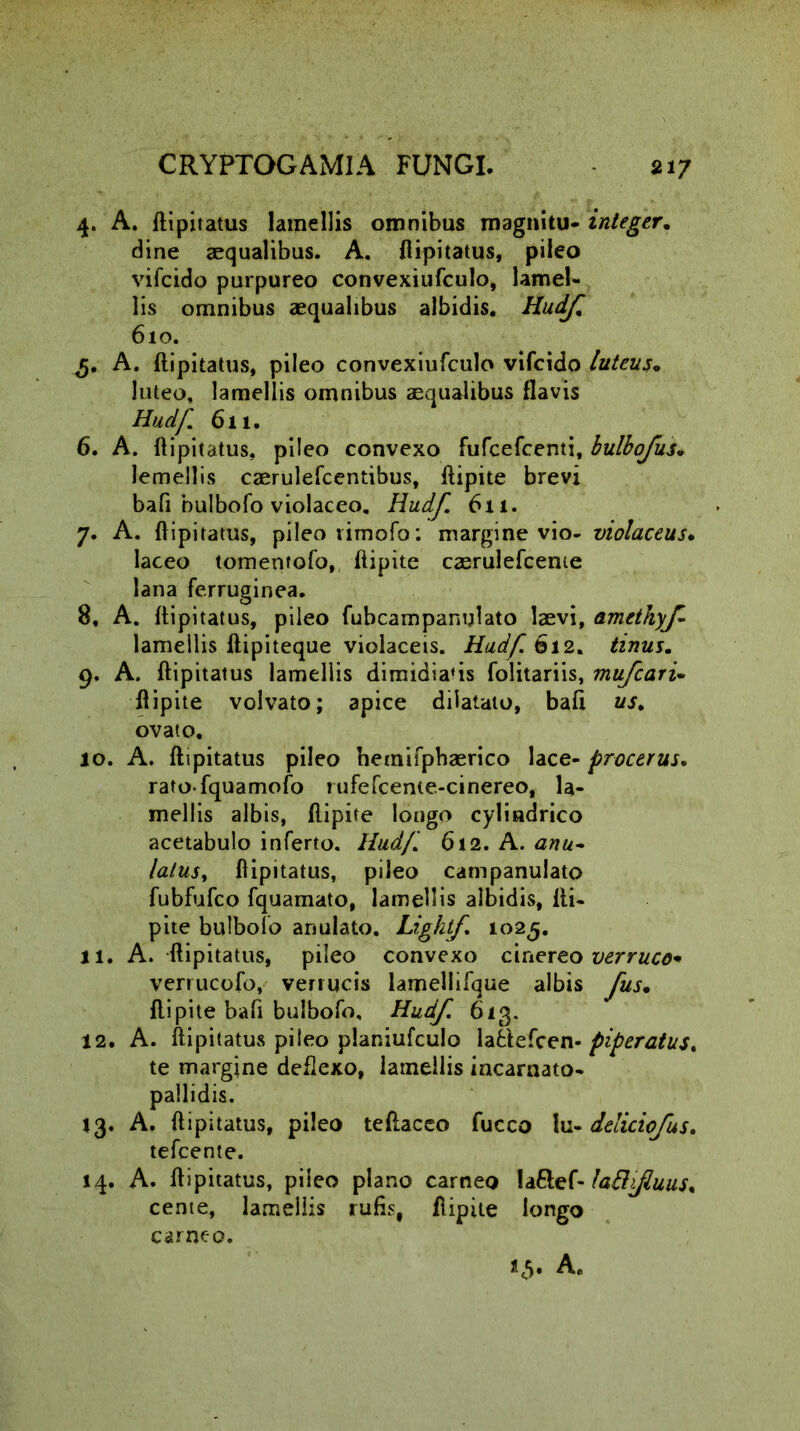 4. A. ftipitatus lamellis omnibus magnitu- integer, dine aequalibus. A. ftipitatus, pileo vifcido purpureo convexiufculo, lamel- lis omnibus aequalibus albidis. Hudf, 610. 5. A. ftipitatus, pileo convexiufculo vifcido luteus, luteo, lamellis omnibus aequalibus flavis Hudf 611. 6. A. ftipitatus, pileo convexo fufcefcenti, bulbofus. lemellis caerulefcentibus, ftipite brevi bafi bulbofo violaceo. Hudf. 611. 7. A. ftipitatus, pileo rimofo: margine vio- violaceus, laceo tomentofo, ftipite caerulefceme lana ferruginea. 8. A. ftipitatus, pileo fubcampanulato laevi, amethyf lamellis ftipiteque violaceis. Hudf 612. tinus. 9. A. ftipitatus lamellis dimidiabis folitariis, mufcari- ftipite volvato; apice dilatato, baft us, ovato, 10. A. ftipitatus pileo hemifphaerico lace- procerus, ratofquamofo rufefcente-cinereo, la- mellis albis, ftipite longo cylindrico acetabulo inferto. Hudf 612. A. anu- lalusy ftipitatus, pileo campanulato fubfufco fquamato, lamellis albidis, fti- pite bulbofo anulato. Lightf 1025. 11. A. ftipitatus, pileo convexo cinereo verruco* verrucofo, verrucis lamellifque albis fus, ftipite bafi bulbofo, Hudf. 613. 12. A. ftipitatus pileo planiufculo lafclefcen- piperatus, te margine deflexo, lamellis incarnato- pallidis. 13. A. ftipitatus, pileo teftaceo fucco \u- deliciofus. tefcente. 14. A. ftipitatus, pileo plano carneo la&ef- laHifuus, cente, lamellis rufis, ftipite longo carneo.