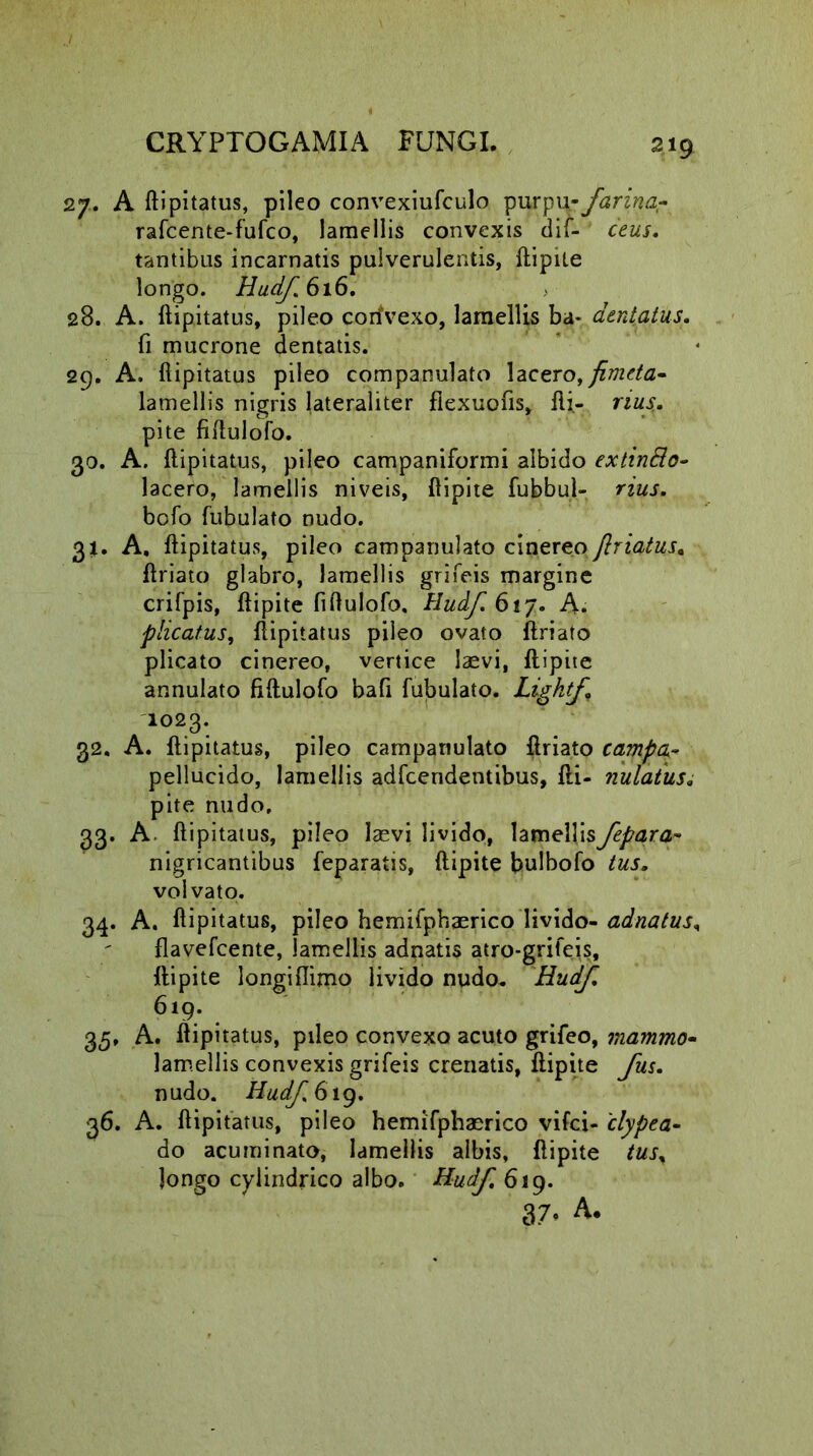27. A ftipitatus, pileo convexiufculo purpu- farina? raTcente-TuTco, lamellis convexis diT- ceus. tantibus incarnatis pulverulentis, ftipite longo. Hudf.616. 28. A. ftipitatus, pileo corivexo, lamellis ba- dentatus. fi mucrone dentatis. 29. A. fiipitatus pileo companulato lacero, fimeta- lamellis nigris lateraliter flexuofis, fti,- rius. pite fiftuloTo. 30. A. ftipitatus, pileo campaniformi albido extinfto- lacero, lamellis niveis, ftipite fubbul- rius. bofo Tubulato nudo. 31. A. ftipitatus, pileo campanulato cinereo jlriatus. ftriato glabro, lamellis grifeis margine crifpis, ftipite fiftulofo. Hudf.bvj. A. plicatus, ftipitatus pileo ovato ftriato plicato cinereo, vertice laevi, ftipite annulato fiftulofo bafi Tubulato. Lightf. 1023*. 32. A. ftipitatus, pileo campanulato ftriato campa- pellucido, lamellis adTcendentibus, fti- nutatus* pite nudo, 33. A. ftipitatus, pileo laevi livido, lamellisfepara~ nigricantibus Teparatis, ftipite bulboTo tus. vol vato. 34. A. ftipitatus, pileo hemifphaerico livido- adnatus, flaveTcente, lamellis adnatis atro-griTejs, ftipite longifiimo livido nudo. Hudjl 619. 35. A. ftipitatus, pileo convexo acuto grifeo, mammo• lamellis convexis grifeis crenatis, ftipite Jus. nudo. Hudf.Gig. 36. A. ftipitatus, pileo hemiTphaerico vifci- 'clypea- do acuminato, lamellis albis, ftipite tus% longo cylindrico albo. Hudjl 619.