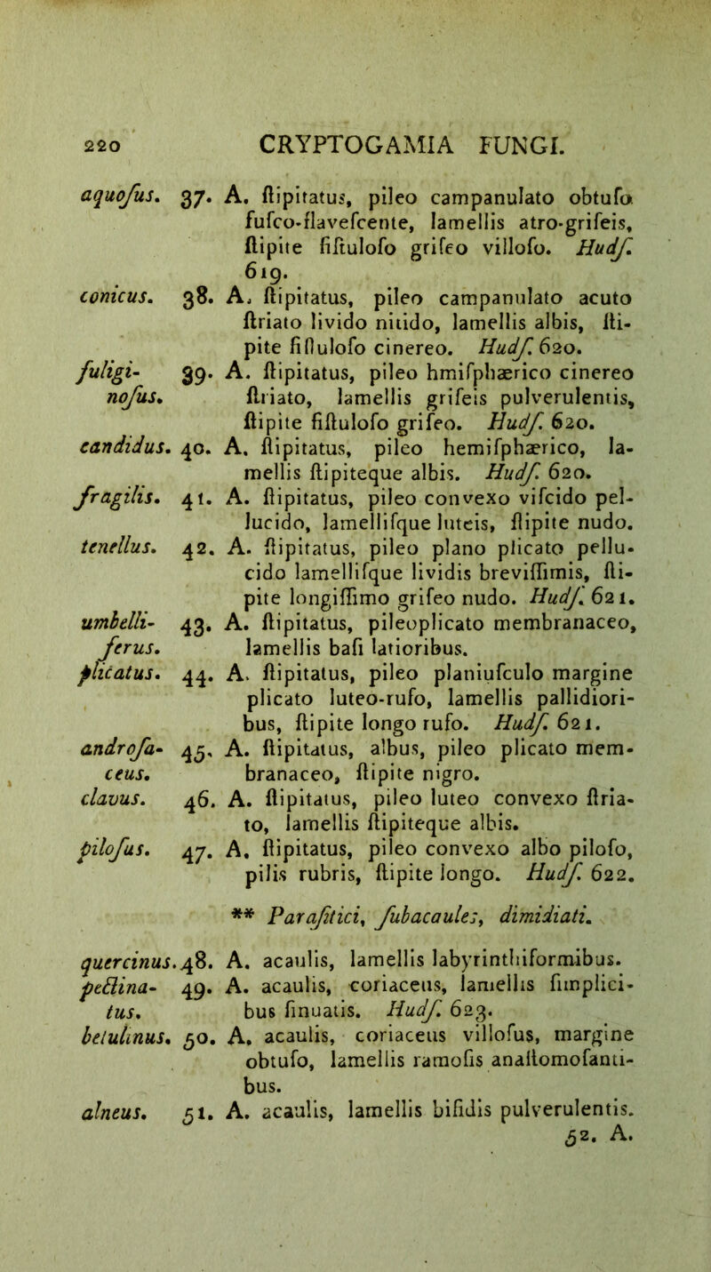aquofus. 37. A. ftipitatus, pileo campanulato obtufo. fufco-flavefcente, lamellis atro-grifeis, Ilipite fiftulofo grifeo villofo. Hudf. 619. conicus. 38. A, ft ipitatus, pileo campanulato acuto ftriato livido nitido, lamellis albis, fti- pite fiDulofo cinereo. Hudf 620. fuligi- 39. A. ftipitatus, pileo hmifphaerico cinereo nofus. ftriato, lamellis grifeis pulverulentis, ftipite fiftulofo grifeo. Hudf. 620. candidus. 40. A. ftipitatus, pileo hemifphaerico, la- mellis ftipiteque albis. Hudf. 620. fragilis. 41. A. ftipitatus, pileo convexo vifcido pel- lucido, lamellifque luteis, ftipite nudo. tenellus. 42. A. ftipitatus, pileo plano plicato pellu- cido lamellifque lividis breviflimis, fti- pite longiftimo grifeo nudo. HudJ. 621. umbelli- 43. A. ftipitatus, pileoplicato membranaceo, ferus. lamellis bafi latioribus. plicatus. 44. A. ftipitatus, pileo platiiufculo margine plicato luteo-rufo, lamellis pallidiori- bus, ftipite longo rufo. Hudf. 621. androfa- 45, A. ftipitatus, albus, pileo plicato mem- ceus. branaceo, ftipite nigro. clavus. 46. A. ftipitatus, pileo luteo convexo ftria- to, lamellis ftipiteque albis. pilofus. 47. A, ftipitatus, pileo convexo albo pilofo, pilis rubris, ftipite longo. Hudf 622. ** Par a/it ici, fubacaule:, dimidiati. quercinus.48. A. acaulis, lamellis Jabyrinthiformibus. ptElina- 49. A. acaulis, coriaceus, lamellis fimplici- bus finuatis. Hudf. 623. belulinus. 50. A. acaulis, coriaceus villofus, margine obtufo, lamellis ramofis analtomofanti- bus. alneus. 51. A. acaulis, lamellis bifidis pulverulentis.