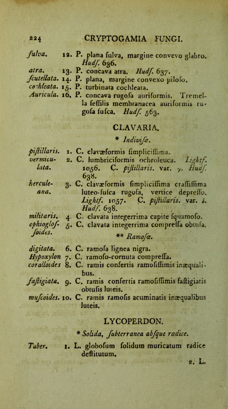224 fulva. CRYPTOGAMIA FUNGI. 12. P. plana fulva, margine convevo glabro. Hudf 636. atra. 13. P. concava atra. Hudf. 63/. fcutellata. 14. P. plana, margine convexo pilofo. cd:hleata. 15. P. turbinata cochleata. Auricula. 16, P. concava rugofa auriformis. Tremel- la feflilis membranacea auriformis ru- gofa fufca. Hudf ,563. CLAVARIA. piftillaris. vermicu- lata. kercule- ana. militaris. ophioglof foidts. * lndivifa. 1. C. clavzeformis fimpliciffima. 2. C. lumbriciformis ochroleuca. Lightf. 1056. C. pijhllaris. var. y. Hudf. 63a- 3. C. clavaeformis fimpliciffima cra(TilTmia luteo-fufca rugofa, vertice depreffo. Lightf 1057. C. pijlillaris. var. S, Hudf. 638. 4. C. clavata integerrima capite fquamofo. 5. C. clavata integerrima compreffa obtufa. ** Ramofce. digitata. Hypoxylon coralloides 9- fajligiata. mufeoides. 10. C. ramofa lignea nigra. C. ramofo-cornuta compreffa. C. ramis confertis ramofiflimis imequali- bus. C. ramis confertis ramofiffimis fafligiatis obtufis luteis. C. ramis ramofis acuminatis imequalibus luteis. LYCOPERDON. * Solida, fubterranea abfque radice. Tuber. 1. L. globofum folidum muricatum radice deftitutuni.