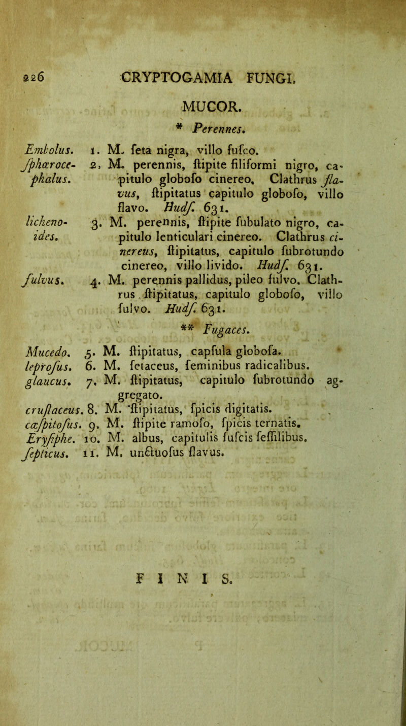 MUCOR. * Perennes. Embolus, jphccroce- phalus. licheno- ides. fulvus. 1. M. feta nigra, villo fufco. 2. M. perennis, ftipite filiformi nigro, ca- pitulo globofo cinereo, Clathrus jla- vus, flipitatus capitulo globofo, villo flavo. Hudf. 631. 3. M. perennis, ftipite fubulato nigro, ca- pitulo lenticulari cinereo. Clathrus ci- nereus, flipitatus, capitulo fubrotundo cinereo, villo livido. Hudf 631. 4. M. perennis pallidus, pileo fulvo. Clath- rus flipitatus, capitulo globofo, villo fulvo. Hudf. 631. ** Fugaces. Mucedo. 5. M. flipitatus, capfula globofa. leprofus. 6. M. fetaceus, feminibus radicalibus. glaucus. 7. M. flipitatus, capitulo fubrotundo ag- gregato. cruflaceus. 8. M. 'flipitatus, fpicis digitatis. cccfpitofus. 9. M. ftipite ramofo, fpicis ternatis. Eryfpke. 10. M. albus, capitulis fufcis feffilibus. fepiicus. 11. M. un&Uofus flavus. FINIS.