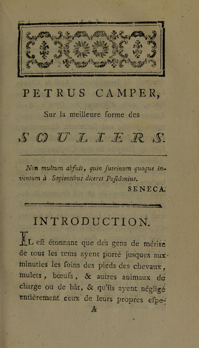 P E T R U S CAMPER, Sur la meilleure forme des S O W JL JC JE JR. N Non mültum abfuit, quïn futrinum quoque in- ventum à Sapientibus diceret Pojidonius. SE NEC a; INTRODUCTION. eïï étonnant que dés gens de mérite de tous les tems aÿent porté jusques auX' minuties les foins des pieds des chevaux, mulets, bœufs, & autres animaux de charge ou de bât, & qu’fis ayent négligé entièrement ceux de leurs propres efpe- A