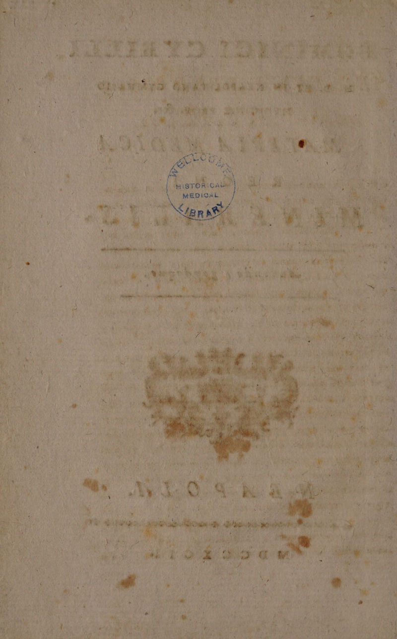 || MEDIQAL. isreR cs  PATE L Ar Ji^ p) NOx OT TS QUON ps 27