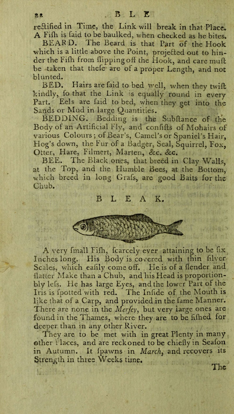 rectified in Time, the Link will break in that Piace. A Fifh is faid to be baulked, when checked as he bites. BEARD. The Beard is that Part of the Hook •which is a little above the Point, projefled out to hin- der the Fifh from flippingoff the Hook, and caremufb be taken that thefe are of a proper Length, and not blunted. BED. Hairs are faid to bed well, when they twifl kindly, fo that the Link is equally round in every Part. Eels are faid to bed, when they get into the Sands or Mud in large Quantities. BEDDING. Bedding is the Subfiance of the Body of an Artificial Fly, and confifls of Mohairs of various Colours ; of Bear’s, Camel’s or Spaniel’s Hair, Hog’s down, the Fur of a Badger, Seal, Squirrel, Fox, Otter, Hare, Filmert, Marten, &c. &c. BEE. The Black ones, that breed in Clay Walls, at the Top, and the Humble Bees, at the Bottom, which breed in long Grafs, are good Baits for the Chub. BLEAK. A very fmall Fifh, fcarcely ever attaining to be fix Inches long. His Body is cohered with thin filver Scales, which eafily come off. Fie is of a flender and flatter Make than a Chub, and his Head is proportion- bly lefs. He has large Eyes, and the lower Part of the Iris is fpotted with red. The Infide of the Mouth is like that of a Carp, and provided in the fame Manner. There are none in the Merfey, but very large ones are found in the Thames, where they are to be fifhed for deeper than in any other River. They are to be met with in great Plenty in many other Places, and are reckoned to be chiefly in Seafon in Autumn. It fpawns in March, and recovers its Strength in three Weeks time.