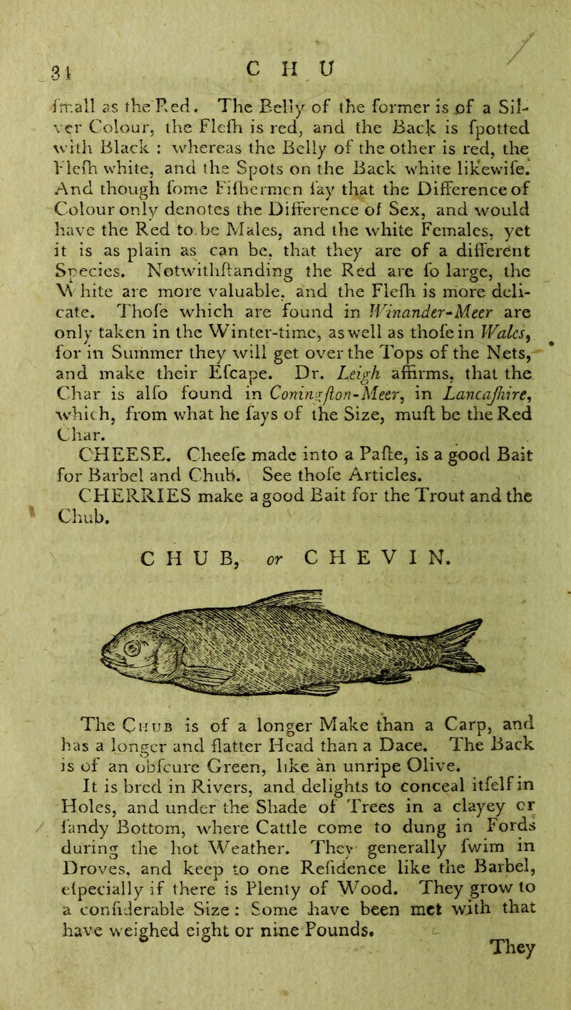 3 4 frr.all as the Red. The Belly of the former is of a Sil- ver Colour, the Flcfh is red, and the Back is fpotted with Black : whereas the Belly of the other is red, the Vlefh white, and the Spots on the Back white lilcewife. And though fome Fifbermcn lay that the Difference of Colour only denotes the Difference of Sex, and would have the Red to.be Males, and the white Females, yet it is as plain as can be, that they are of a different Species. Netwithftanding the Red are fo large, the \\ hite are more valuable, and the Flefh is more deli- cate. Thofe which are found in IVinander-Meer are only taken in the Winter-time, as well as thofe in Wales, for in Summer they will get over the Tops of the Nets, and make their Efcape. Dr. Leigh affirms, that the Char is alfo found in Coningflon-Meer, in Lancajhire, which, from what he fays of the Size, muff be the Red Char. CHEESE. Cheefe made into a Pafte, is a good Bait for Barbel and Chub. See thofe Articles. CHERRIES make a good Bait for the Trout and the Chub. CHUB, or C H E V I N. The Chub is of a longer Make than a Carp, and has a longer and flatter Head than a Dace. The Back is of an obfeure Green, like an unripe Olive. It is bred in Rivers, and delights to conceal itfelfin Holes, and under the Shade of Trees in a clayey cr fandy Bottom, where Cattle come to dung in Fords during the hot Weather. They generally fwim in Droves, and keep to one Refldence like the Barbel, efpecially if there is Plenty of Wood. They grow to a confiderable Size : Some have been met with that have weighed eight or nine Pounds. They