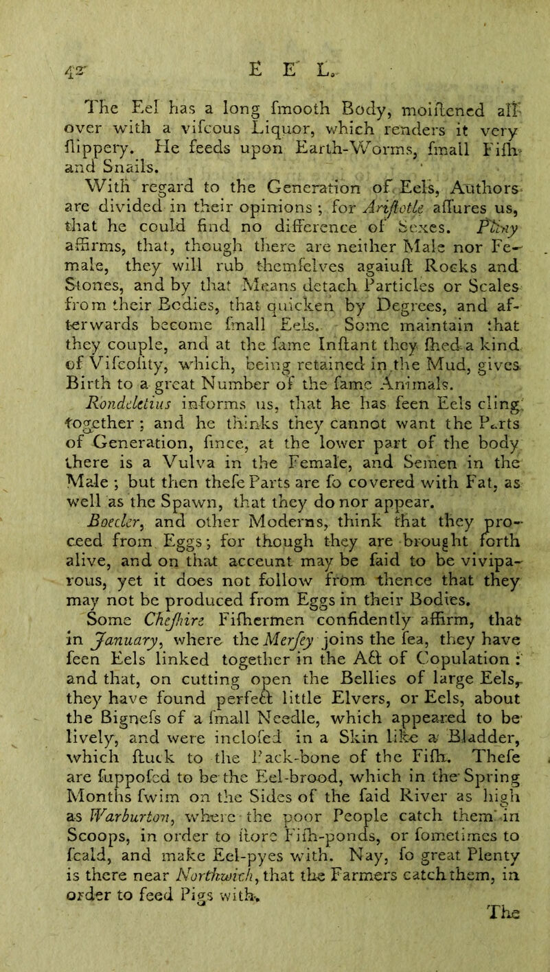 The Eel has a long fmooth Body, moiltened all' over with a vifcous Liquor, which renders it very flippery. He feeds upon Earth-Worms, fmail Filh- and Snails. With regard to the Generation of Eels, Authors* are divided in their opinions ; for AnjietU allures us, that he could find no difference of Sexes. Ptbiy affirms, that, though there are neither Male nor Fe-- male, they will rub themfelves agaiuff Rocks and Stones, and by that Means detach Particles or Scales from their Bodies, that quicken by Degrees, and af- terwards become fmail Eels. Some maintain that they couple, and at the fame Infiant they fhed-a kind of Vifeoiity, which, being retained in.the Mud, gives. Birth to a great Number of the fame Animals. Rondclctius informs us, that he has feen Eels cling: together ; and he thinks they cannot want the P^rts of Generation, fmce, at the lower part of the body there is a Vulva in the Female, and Semen in the Male ; but then thefe Parts are fo covered with Fat, as well as the Spawn, that they do nor appear. Boeder, and other Moderns, think that they pro- ceed from. Eggs; for though they are brought forth alive, and on that acceunt may be faid to be vivipa- rous, yet it does not follow from thence that they may not be produced from Eggs in their Bodies. Some Chejhire Fifhcrmen confidently affirm, that in January) where the Merjey joins the fea, they have feen Eels linked together in the Aft of Copulation : and that, on cutting open the Bellies of large Eelsr they have found perfect little Elvers, or Eels, about the Bignefs of a fmail Needle, which appeared to be lively, and were inclofed in a Skin like a Bladder, which ftuck to the Pack-bone of the Fifih. Thefe are fuppofed to be the Eel-brood, which in the-Spring Months fwim on the Sides of the faid River as high as IVarburto7i, where the poor People catch them' in Scoops, in order to i’tore Fiih-ponas, or fometirnes to feald, and make Eel-pyes with. Nay, fo great Plenty is there near Nortkwkh, that the Farmers catch them, in order to feed Pigs with.