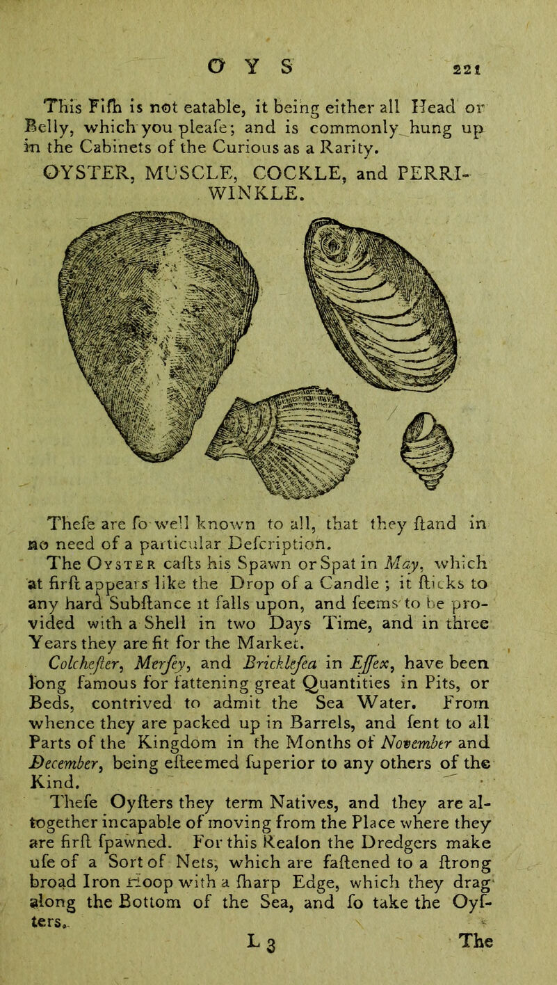 This Fifh is not eatable, it being either all Head or Belly, which you pleafe ; and is commonly hung up in the Cabinets of the Curious as a Rarity. OYSTER, MUSCLE, COCKLE, and PERR-I- WINKLE. Thefe are fo well known to all, that they Hand in no need of a particular Befcription. The Oyster cads his Spawn or Spat in May, which at firft appears like the Drop of a Candle ; it fticks to any hard Subfiance it falls upon, and feems to be pro- vided with a Shell in two Days Time, and in three Years they are fit for the Market. Colchejlcr, Merjey, and Brickkfea in EJfex, have been, long famous for fattening great Quantities in Pits, or Beds, contrived to admit the Sea Water. From whence they are packed up in Barrels, and fent to all Parts of the Kingdom in the Months of November and December, being efleemed fuperior to any others of the Kind. Thefe Oyflers they term Natives, and they are al- together incapable of moving from the Place where they are firfl fpawned. For this Realon the Dredgers make ufe of a Sort of Nets, which are fattened to a ftrong broad Iron rioop with a {harp Edge, which they drag along the Bottom of the Sea, and fo take the Oyf- ters, L3 The