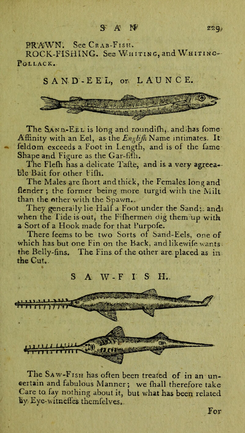 PRAWN. See Crab-Fish. ROCK-FISHING. Sea Wh itin g, and Whitin c- Pollack. SAND-EEL, or, LAUNCE. The Sanh-Eel is long and roundifh,. andEas fome Affinity with an Eel, as the Englijh Name intimates. It feldom exceeds a Foot in Length, and is of the fame Shape and Figure as the Gar-fifh. The Flefh has a delicate Tafle, and is a very agreea- ble Bait for other Hfh. The Males are fhort and thick, the Females long and {lender; the former being more turgid with the Milt than the other with the Spawn.. They generally lie Half a Foot under the Sand;., andt when the Tide is out* the Fifhermen dig them up with a Sort of a Hook made for that Purpofe. There feems to be two Sorts or Sand-Eels, one of which has but one Fin on the Back, and likewife wants the Belly-fins. The Fins of the other are. placed as in the Cut*. S A W-F I S H.. The Saw-Fish has often been treated of in an un- certain and fabulous Manner ; we fhall therefore take Care to fay nothing about it, but what has been related by Eye-witneffes themfelves*. For