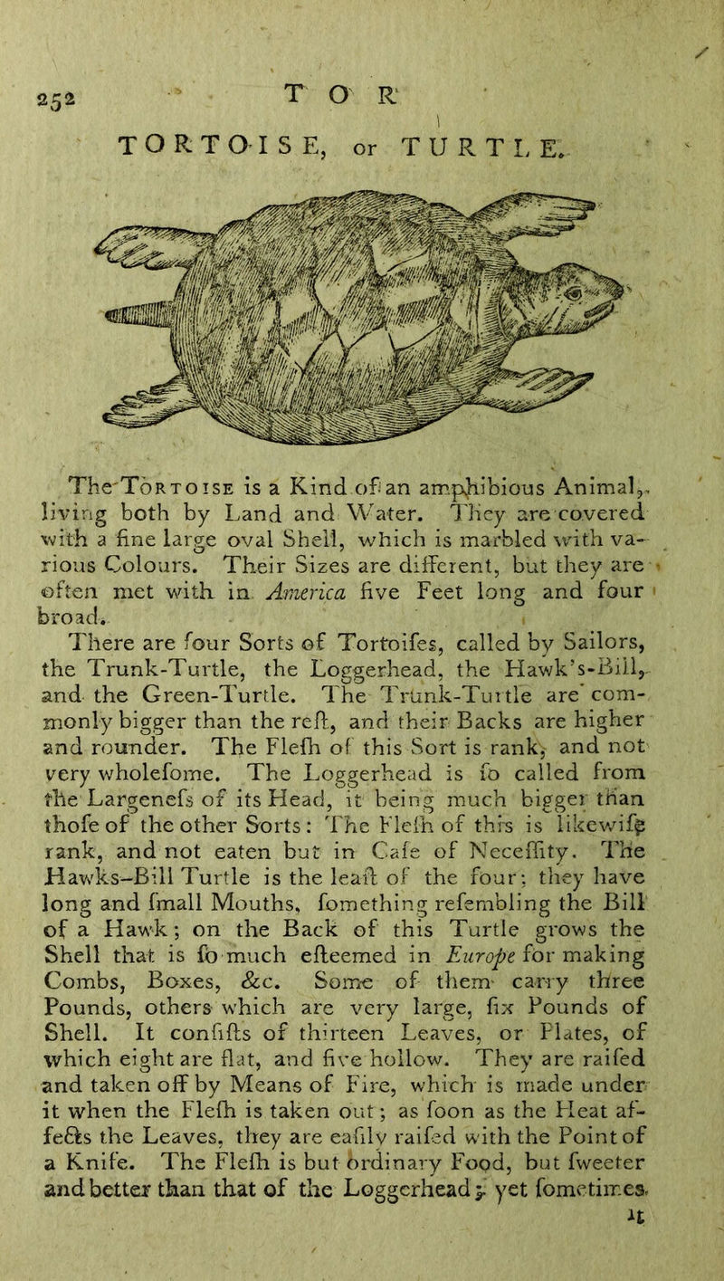 The'ToRTOiSE is a Kind of an amphibious Animal,, living both by Land and Water. They are covered with a fine large oval Shell, which is marbled with va- rious Colours. Their Sizes are different, but they are often met with in America five Feet long and four broad. There are four Sorts of Tortoifes, called by Sailors, the Trunk-Turtle, the Loggerhead, the Hawk’-s-Bill,.. and the Green-Turtle. The Trtink-Turtle are’ com- monly bigger than the reft, and their Backs are higher and rounder. The Flefh of this Sort is rank, and not very wholeforne. The Loggerhead is fo called from the Largenefs of its Head, it being much bigger than thofeof the other Sorts: The Flefh of this is likewiff: rank, and not eaten but in Cafe of Neceflity. The Hawks—Bill Turtle is the leaft of the four: they have long and fmall Mouths, fomething refembling the Bill of a Hawk; on the Back of this Turtle grows the Shell that is fo much efteemed in Europe for making Combs, Boxes, Sic. Some of them- carry three Pounds, others which are very large, fix Pounds of Shell. It conhfts of thirteen Leaves, or Plates, of which eight are flat, and five hollow. They are raifed and taken off by Means of Fire, which is made under it when the Flefh is taken out ; as foon as the Pleat af- fe&s the Leaves, they are eafily raifed with the Point of a Knife. The Flefh is but ordinary Food, but fweeter and better than that of the Loggerhead ji yet fometiir.es.