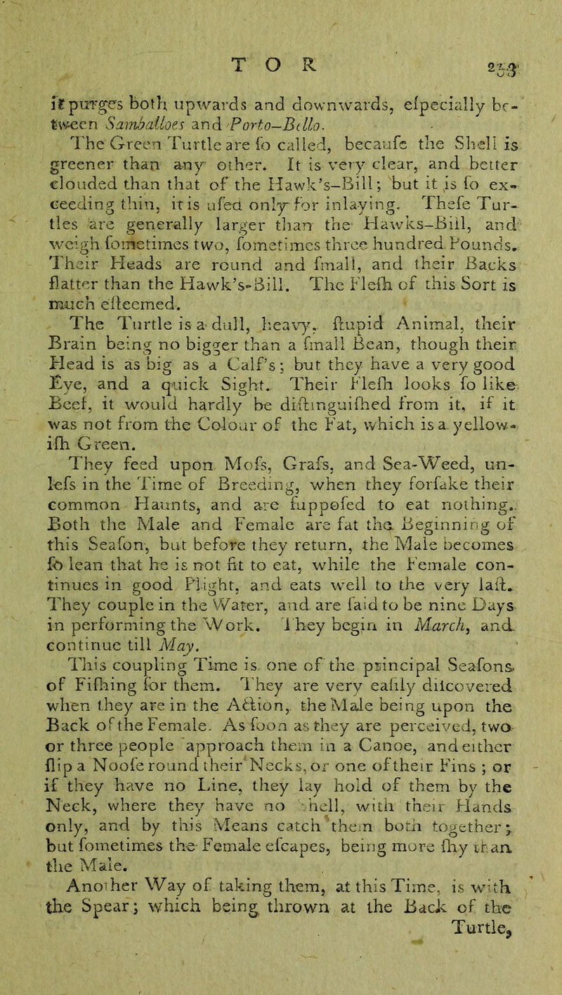 it purges both upwards and downwards, efpecially be- tween Sambailoes and 'Porto—Bello. The'Green Turtle are fo called, becaufc the Shell is greener than any other. It is very clear, and better clouded than that of the Hawk’s-Bill; but it JLs fo ex- ceeding thin, it is ufed only for inlaying. Thefe Tur- tles are generally larger than the* Hawks-Bill, and weigh.forrletimes two, fometimes three hundred Pounds. Their Heads are round and fmall, and their Backs flatter than the HawkVBill. The Flefh of this Sort is much efteemed. The Turtle is a dull, heavy,, ftupid Animal, their Brain being no bigger than a fmall Bean, though their Head is as big as a Calf’s; but they have a very good Tye, and a quick Sight. Their Flefh looks fo like Beef, it would hardly be diitmguifhed from it, if it was not from the Colour of the Fat, which is a. yellow- ifh Green. They feed upon Mofs, Grafs, and Sea-Weed, un- lefs in the Time of Breeding, when they forfake their common Haunts, and are fuppofed to eat nothing.. Both the Male and Female are fat the Beginning of this Seafon, but before they return, the Male becomes fo lean that he is not fit to eat, while the f emale con- tinues in good Plight, and eats well to the very laid. They couple in the Water, and are laid to be nine Days in performing the Work, i hey begin in March, and continue till May. This coupling Time is. one of the principal Seafons. of Fifhing for them. They are very eafily diicovered when they are in the Affion,. the Male being upon the Back of the Female. As foon as they are perceived, two or three people approach them in a Canoe, and either flip a Noofe round their' Necks, or one of their Fins ; or if they have no Line, they lay hold of them by the Neck, where they have no .hell, with their Hands only, and by this Means catch them both together;, but fometimes the Female efcapes, being more fhy than the Male. Anoiher Way of taking them, at this Time, is with the Spear; which being thrown at the Back of the Turtle,