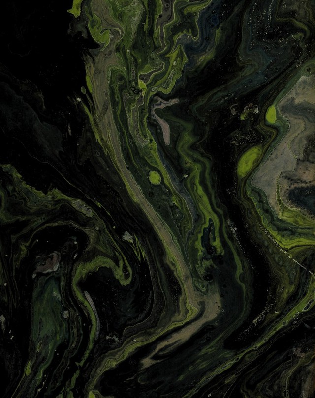 No text description is available for this image