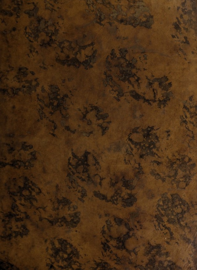 digitised image 1