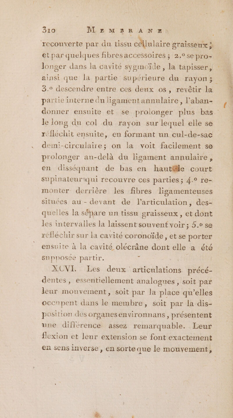 recouverte par du tissu cdUulaire graissenx à et par quelques fibres accessoires ; 2.° se pro- lone ainsi que la partie supérieure du rayons; 3.0 descendre entre ces deux os, revêtir la partie interne du ligament annulaire, l’aban- le long du col du rayon sur lequel elle se réfléchit ensuite, en formant un cul-de-sac dem:-circulaire; on la voit facilement se prolonger au-delà du ligament annulaire ; en disséquant de bas en hautfle court Supinateur‘qui recouvre ces parties; 4.° re- monter derrière les fibres ligamenteuses situces au - devant de l'articulation, des- quelles la sépare un tissu graisseux, et dont les intervalles la laissent souvent voir ; 5.0 se réfléchir sur la cavité coronvïde, et se porter ensuite à la cavité olécrâne dont elle a été supposée partir. 1 - ACVI. Les deux articulations précé- dentes, essentiellement analogues, soit par leur mouvement, soit par la place qu’elles occnpent dans le membre, soit par la dis- position cles organesenvironnans , présentent une différence assez remarquable. Leur flexion et leur extension se font exactement en sens inverse, en sorte que le mouvement,
