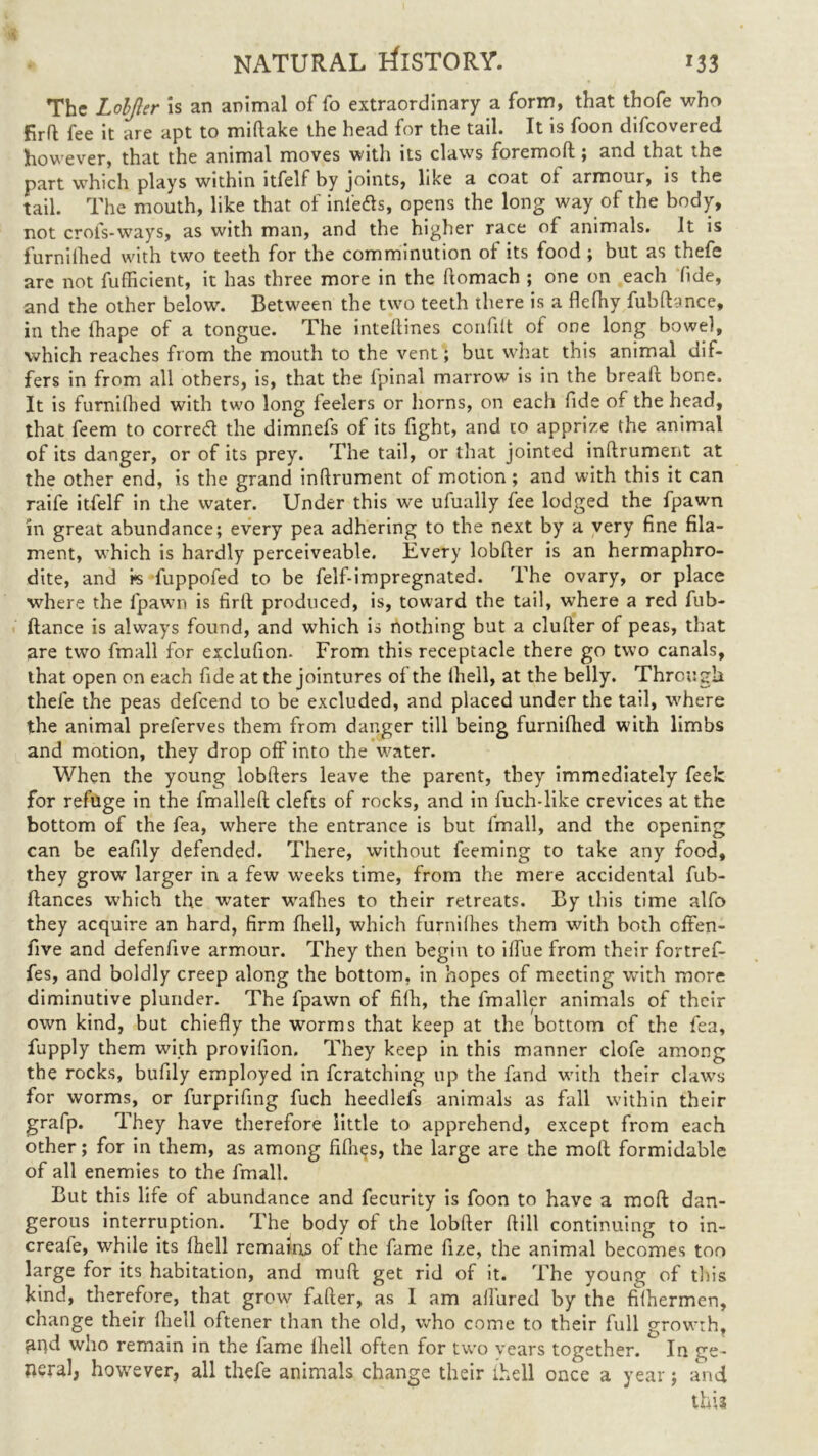 The Loljler is an animal of fo extraordinary a form, that thofe who firft fee it are apt to miftake the head for the tail. It is foon difcovered however, that the animal moves with its claws foremoft ; and that the part which plays within ltfelf by joints, like a coat ot armour, is the tail. The mouth, like that of infers, opens the long way of the body, not crofs-ways, as with man, and the higher race of animals. It is furniihed with two teeth for the comminution of its food ; but as thefe are not fufficient, it has three more in the ftomach ; one on each fide, and the other below. Between the two teeth there is a flelhy fublbnce, in the Ihape of a tongue. The inteftines coafilt of one long bowel, which reaches from the mouth to the vent; but what this animal dif- fers in from all others, is, that the fpinal marrow is in the breaft bone. It is furniihed with two long feelers or horns, on each fide of the head, that feem to corred the dimnefs of its light, and to apprize the animal of its danger, or of its prey. The tail, or that jointed inftrument at the other end, is the grand inftrument ol motion; and with this it can raife itfelf in the water. Under this we ufually fee lodged the fpawn in great abundance; every pea adhering to the next by a very fine fila- ment, which is hardly perceiveable. Every lobfter is an hermaphro- dite, and vs fuppofed to be felf-impregnated. The ovary, or place where the fpawn is firft produced, is, toward the tail, where a red fub- ftance is always found, and which is nothing but a clufter of peas, that are two fmall for exclufion. From this receptacle there go two canals, that open on each fide at the jointures of the thell, at the belly. Through thefe the peas defcend to be excluded, and placed under the tail, where the animal preferves them from danger till being furniihed with limbs and motion, they drop off into the water. When the young lobfters leave the parent, they immediately feelc for refuge in the fmalleft clefts of rocks, and in fuch-like crevices at the bottom of the fea, where the entrance is but fmall, and the opening can be eafily defended. There, without feeming to take any food, they grow larger in a few weeks time, from the mere accidental fub- ftances which the wTater walhes to their retreats. By this time alfo they acquire an hard, firm Ihell, which furnilhes them with both cffen- five and defenfive armour. They then begin to iffue from their fortref- fes, and boldly creep along the bottom, in hopes of meeting with more diminutive plunder. The fpawn of fifh, the fmallcr animals of their own kind, but chiefly the worms that keep at the bottom of the fea, fupply them with provifion. They keep in this manner clofe among the rocks, bufily employed in fcratching up the land with their claws for worms, or furprifing fuch heedlefs animals as fall within their grafp. They have therefore little to apprehend, except from each other; for in them, as among fifties, the large are the molt formidable of all enemies to the fmall. But this life of abundance and fecurity is foon to have a molt dan- gerous interruption. The body of the lobfter (till continuing to in- creafe, while its Ihell remains of the fame fize, the animal becomes too large for its habitation, and muft get rid of it. The young of this kind, therefore, that grow falter, as I am allured by the filhermen, change their Ihell oftener than the old, who come to their full growth, ^nd who remain in the fame Ihell often for two vears together. In ge- neral, however, all thefe animals change their ihell once a year; and this