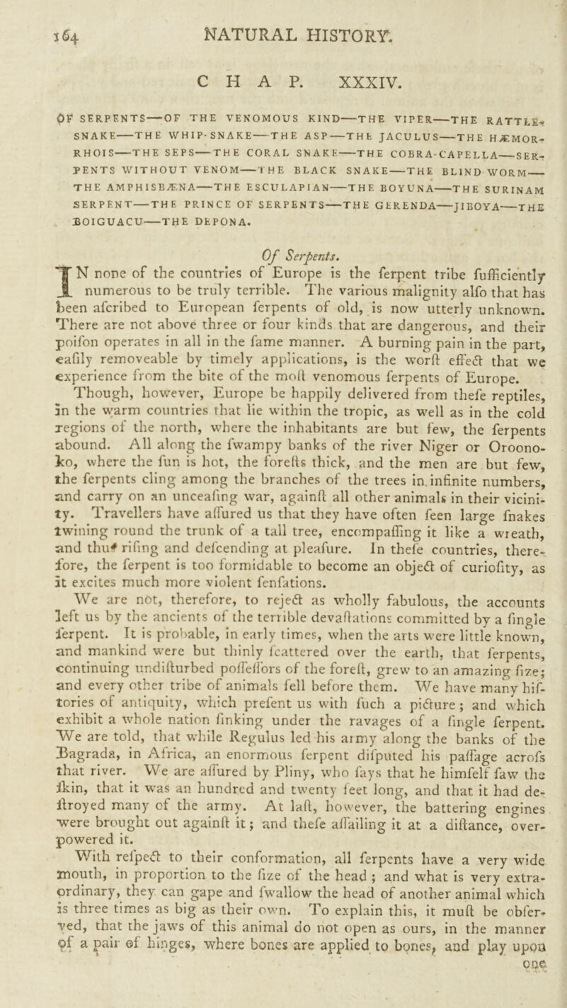 CHAP. XXXIV. <>F SERPENTS OF THE VENOMOUS KIND THE VIPER THE RATTLE- SNAKE THE WHIP-SNAKE THE ASP THE JACULUS THE HJEMOR- RHOIS THE SEPS THE CORAL SNAKE THE COER A-CAPELLA SER- PENTS WITHOUT VENOM THE BLACK SNAKE THE BLIND WORM THE AMPHISBZE NA THE ESCULAPIAN THE BOYUNA THE SURINAM SERPENT THE PRINCE OF SERPENTS THE GERENDA JIBOYA THE BOIGUACU THE DEPONA. Of Serpents. IN none of the countries of Europe is the ferpent tribe fufficiently numerous to be truly terrible. The various malignity alfo that has been afcribed to European ferpents of old, is now utterly unknown. There are not above three or four kinds that are dangerous, and their poifon operates in all in the fame manner. A burning pain in the part, eafily removeable by timely applications, is the word effedt that we experience from the bite of the mod venomous ferpents of Europe. Though, however, Europe be happily delivered from thefe reptiles, In the warm countries that lie within the tropic, as w'ell as in the cold regions of the north, where the inhabitants are but few, the ferpents abound. All along the fwampy banks of the river Niger or Oroono- Jco, where the fun is hot, the foreds thick, and the men are but few, the ferpents cling among the branches of the trees in. infinite numbers, and carry on an unceafing war, againd all other animals in their vicini- ty. Travellers have allured us that they have often feen large fnakes twining round the trunk of a tall tree, encompaffing it like a wreath, and thu# rifing and defcending at pleafure. In thefe countries, there- fore, the ferpent is too formidable to become an objedt of curiofity, as it excites much more violent fenfations. We are not, therefore, to rejedt as wholly fabulous, the accounts left us by the ancients of the terrible devadations committed by a fingle ferpent. It is probable, in early times, when the arts were little known, and mankind were but thinly fcattered over the earth, that ferpents, continuing undidurbed poffeffors of the fored, grew to an amazing fize; and every other tribe of animals fell before them. We have many his- tories of antiquity, which prefent us with fuch a pidlure ; and which exhibit a whole nation finking under the ravages of a fingle ferpent. We are told, that while Regulus led his army along the banks of the iBagrada, in Africa, an enormous ferpent dilputed his paffage acrofs that river. We are alfured by Pliny, who fays that he himfelf faw the jkin, that it was an hundred and twenty feet long, and that, it had de- ilroyed many of the army. At lad, however, the battering engines were brought out againd it; and thefe aifailing it at a didance, over- powered it. With refpetf to their conformation, all ferpents have a very wide mouth, in proportion to the fize of the head ; and what is very extra- ordinary, they can gape and fwallow the head of another animal which is three times as big as their own. To explain this, it mud be obfer- ved, that the jaws of this animal do not open as ours, in the manner ol a pair of hinges, where bones are applied to bones, and play upon one