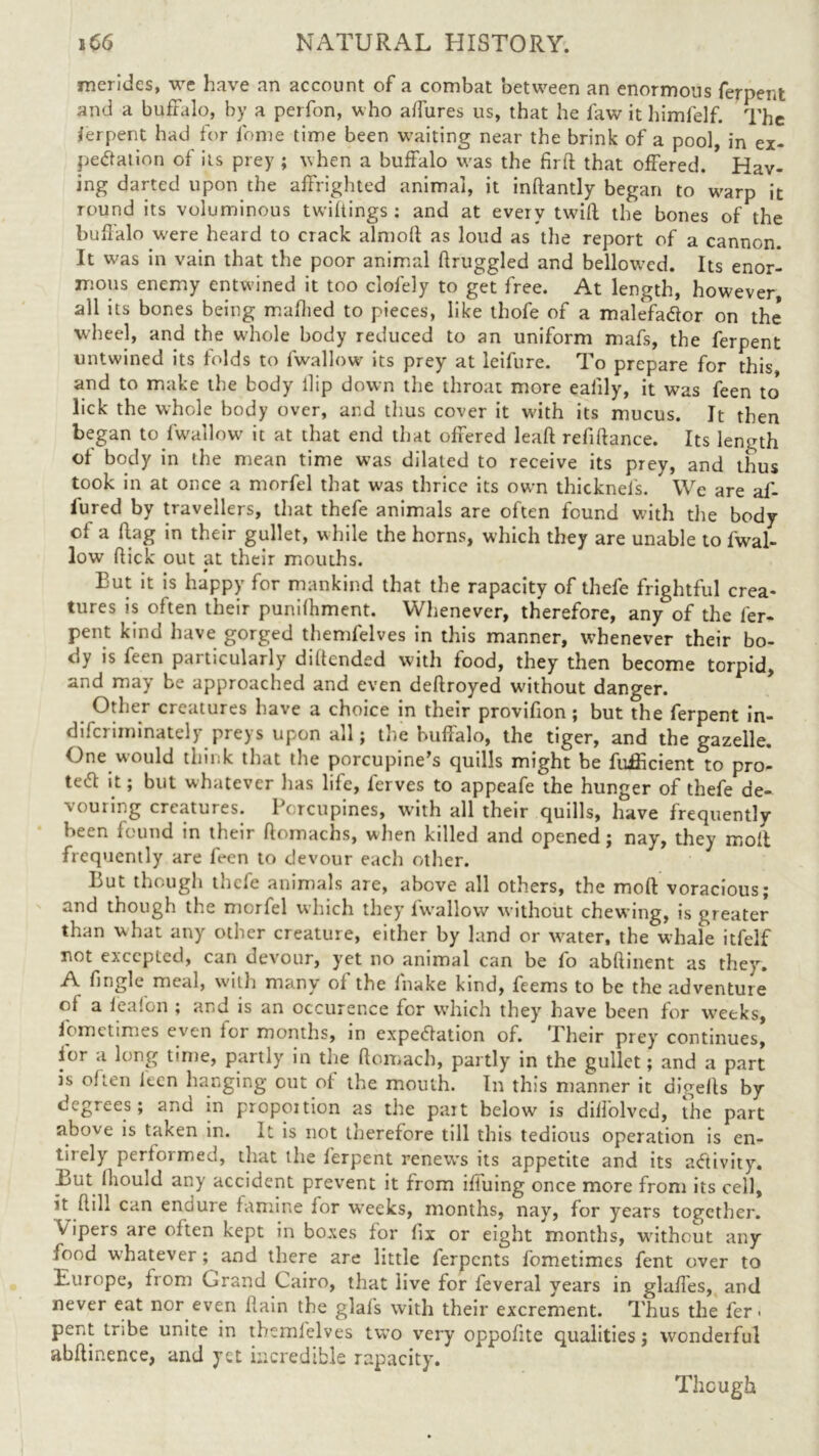 merides, we have an account of a combat between an enormous ferpent and a buffalo, by a perfon, who affures us, that he faw it himfelf. The ferpent had for feme time been waiting near the brink of a pool, in ex- pectation of its prey ; when a buffalo was the fir ft that offered. Hav- ing darted upon the affrighted animal, it inftantly began to warp it round its voluminous twiftings : and at every twift the bones of the buffalo w'ere heard to crack almoft as loud as the report of a cannon. It w'as in vain that the poor animal ftruggled and bellowed. Its enor- mous enemy entwined it too clofely to get free. At length, however, all its bones being mafhed to pieces, like thofe of a malefatfor on the* wheel, and the wdiole body reduced to an uniform mafs, the ferpent untwined its folds to fwallow its prey at leifure. To prepare for this, and to make the body Hip down the throat more eafily, it was feen to' lick the whole body over, and thus cover it wdth its mucus. It then began to fwallow it at that end that offered leaf! refinance. Its length of body in the mean time was dilated to receive its prey, and thus took in at once a morfel that was thrice its own thicknels. We are af- fured by travellers, that thefe animals are often found with the body of a flag in their gullet, w hile the horns, which they are unable to fwal- low flick out at their mouths. But it is happy for mankind that the rapacity of thefe frightful crea- tures is often their punifhment. Whenever, therefore, any of the fer- pent kind have gorged themfelves in this manner, whenever their bo- dy is feen particularly diflended with food, they then become torpid, and may be approached and even deflroyed without danger. Other creatures have a choice in their provifion ; but the ferpent in- difcriminately preys upon all; the buffalo, the tiger, and the gazelle. One would think that the porcupine’s quills might be fufficient to pro- tect it; but whatever lias life, ferves to appeafe the hunger of thefe de- vouring creatures. Porcupines, with all their quills, have frequently been found in their flomachs, when killed and opened; nay, they molt frequently are feen to devour each other. But though thefe animals are, above all others, the molt voracious; and though the morfel which they fwallow without chewing, is greater than what any other creature, either by land or water, the whale itfelf not excepted, can devour, yet no animal can be fo abftinent as they, A fingle meal, with many of the fnake kind, feems to be the adventure of a feafon ; and is an occurence for which they have been for weeks, fometimes even for months, in expectation of. Their prey continues, ior a long time, partly in the ftomach, partly in the gullet; and a part is often feen hanging out of the mouth. In this manner it digefls by degrees; and in propoition as the part below is diffolvcd, the part above is taken in. It is not therefore till this tedious operation is en- tirely performed, that the ferpent renews its appetite and its activity. Lut Ihould any accident prevent it from ifiuing once more from its ceil, it flill can endure famine for wreeks, months, nay, for years together. V ipers are often kept in boxes for fix or eight months, wdthout any food whatever; and there are little ferpents fometimes fent over to Europe, from Crand Cairo, that live for feveral years in glaffes, and never eat nor even ftain the glafs with their excrement. Thus the fer- pent tribe unite in themfelves two very oppofite qualities; wonderful abftinence, and yet incredible rapacity. Though