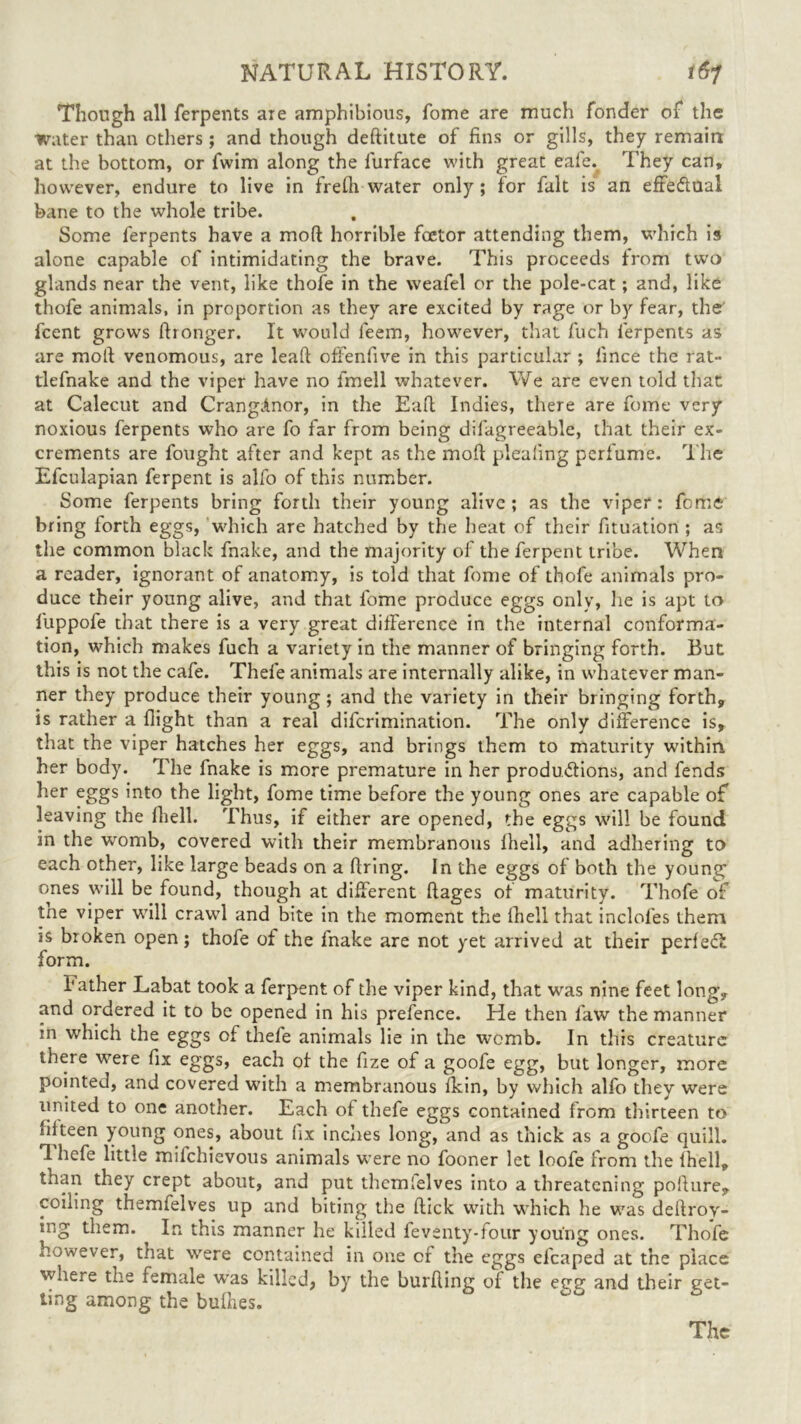 Though all ferpents are amphibious, fome are much fonder of the Water than ethers ; and though deftitute of fins or gills, they remain at the bottom, or fwim along the furface with great eafe% They can, however, endure to live in frefli water only ; for fait is an effe&ual bane to the whole tribe. Some ferpents have a mod: horrible foetor attending them, which is alone capable of intimidating the brave. This proceeds from two glands near the vent, like thofe in the weafel or the pole-cat; and, like thofe animals, in proportion as they are excited by rage or by fear, the feent grows ftronger. It would feem, however, that fuch ferpents as are moll venomous, are lead offenfive in this particular ; iince the rat- tlefnake and the viper have no fmell whatever. We are even told that at Calecut and Cranglnor, in the Eaft Indies, there are fome very noxious ferpents who are fo far from being difagreeable, that their ex- crements are fought after and kept as the mofl pleafing perfume. The Efculapian ferpent is alfo of this number. Some ferpents bring forth their young alive; as the viper: forms bring forth eggs, which are hatched by the heat of their fituation ; as the common black fnake, and the majority of the ferpent tribe. When a reader, ignorant of anatomy, is told that fome of thofe animals pro- duce their young alive, and that fome produce eggs only, he is apt to fuppofe that there is a very great difference in the internal conforma- tion, which makes fuch a variety in the manner of bringing forth. But this is not the cafe. Thefe animals are internally alike, in whatever man- ner they produce their young; and the variety in their bringing forth, is rather a flight than a real diferimination. The only difference is, that the viper hatches her eggs, and brings them to maturity within her body. The fnake is more premature in her productions, and fends her eggs into the light, fome time before the young ones are capable of leaving the fhell. Thus, if either are opened, the eggs will be found in the womb, covered with their membranous fhell, and adhering to each other, like large beads on a firing. In the eggs of both the young ones will be found, though at different ftages of maturity. Thofe of tne viper will crawl and bite in the moment the fhell that inclofes them is broken open; thofe of the fnake are not yet arrived at their perfeCl form. Father Labat took a ferpent of the viper kind, that was nine feet long, and ordered it to be opened in his prefence. He then faw the manner in which the eggs of thefe animals lie in the womb. In this creature there were fix eggs, each of the fize of a goofe egg, but longer, more pointed, and covered with a membranous fkin, by which alfo they were united to one another. Each of thefe eggs contained from thirteen to fifteen young ones, about fix inches long, and as thick as a goofe quill. 1 hefe little miichievous animals were no fooner let loofe from the fhell, than they crept about, and put themielves into a threatening pofiure, coiling themfelves up and biting the flick with which he was deftroy- ing them. ^ In this manner he killed feventy-four young ones. Thofe however, that were contained in one of the eggs efcaped at the place where the female was killed, by the burfiing of the eg? and their get- ting among the bufhes. The