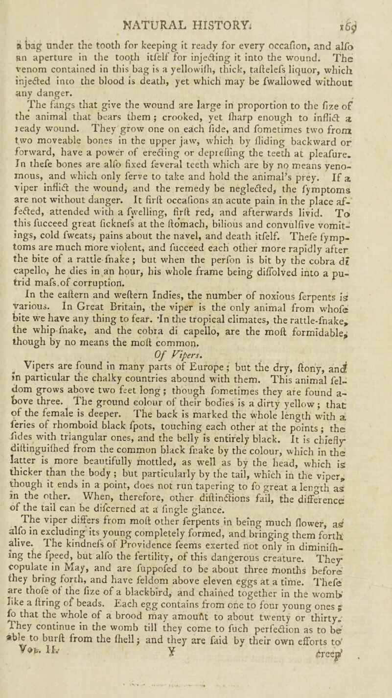 16# a bag under the tooth for keeping it ready for every occafion, and alfo an aperture in the tooth itfelf for injecting it into the wound. The venom contained in this bag is a yellowifli, thick, taftelefs liquor, which injeffed into the blood is death, yet which may be fwallowed without any danger. The fangs that give the wound are large in proportion to the fize of the animal that bears them ; crooked, yet lharp enough to inflidt a leady wound. They grow one on each fide, and fometimes two from two moveable bones in the upper jaw, which by Hiding backward or forward, have a power of erecting or dcprefling the teeth at pleafure. In thefe bones are alfo fixed feveral teeth which are by no means veno- mous, and which only ferve to take and hold the animal’s prey. If a viper inflict the wound, and the remedy be negle&ed, the fymptoms are not without danger. It firft occafions an acute pain in the place af- fe«5ted, attended with a fwelling, firft red, and afterwards livid. To this fucceed great ficknefs at the ftomach, bilious and convulfive vomit- ings, cold fweats, pains about the navel, and death itfelf. Thefe fymp- toms are much more violent, and fucceed each other more rapidly after the bite of a rattle fnake ; but when the perfon is bit by the cobra d? capello, he dies in an hour, his whole frame being diffolved into a pu- trid mafs.of corruption. In the eaftern and weftern Indies, the number of noxious ferpents is various. In Great Britain, the viper is the only animal from whofe bite we have any thing to fear. 'In the tropical climates, the rattle-fnake* the whip fnake, and the cobra di capello, are the moft formidable^ though by no means the moft common. Of Vipers. Vipers are found in many parts of Europe; but the dry, ftony, andt in particular the chalky countries abound with them. This animal fel- dom grows above two feet long; though fometimes they are found a- lbove three. The ground colour of their bodies is a dirty yellow ; that of the female is deeper. The back is marked the whole length with a feries of rhomboid black fpots, touching each other at the points; the Tides with triangular ones, and the belly is entirely black. It is chiefly diftinguilhed from the common black fnake by the colour, which in the latter is more beautifully mottled, as well as by the head, which is thicker than the body ; but particularly by the tail, which in the viper„ though it ends in a point, does not run tapering to fo great a length as in the other. When, therefore, other diftin&ions fail, the difference of the tail can be difeerned at a Angle glance. The viper differs from moft other ferpents in being much flower, as? alfo in excluding its young completely formed, and bringing them forth, alive. The kindnefs of Providence feems exerted not only in diminifh- ing the fpeed, but alfo the fertility, of this dangerous creature. They copulate in May, and are fuppofed to be about three months before they bring forth, and have feldom above eleven eggs at a time. Thefe are thofe of the fize of a blackbird., and chained together in the wroml> like a firing of beads. Each egg contains from one to four young ones j fo that the whole of a brood may amount to about twenty or thirty* Ihey continue in the womb till they come to fuch perfe&ion as to be able to bur ft from the fhell; and they are faid by their own efforts to' ** Y