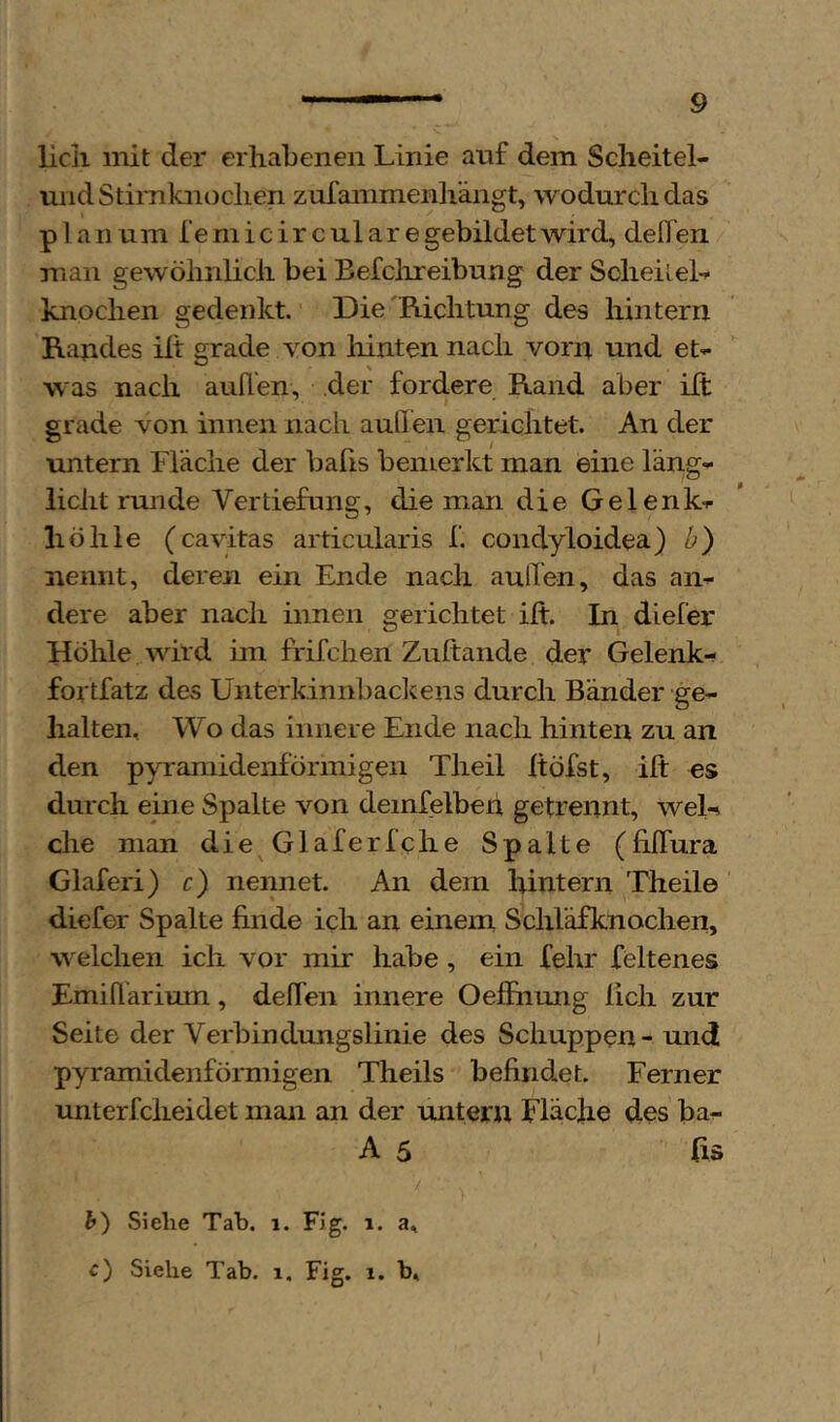 licii niit der erhabenen Linie auf dem Scheitel- undStimknoclien zufainmenhängt, wodurch das planum l’emicirculare gebildet wird, defl en man gewöhnlich bei Eefchreibung der ScheileL knochen gedenkt. Die Richtung des hintern Randes ilt grade von liinten nach vorn und et^- was nach außen, der fordere Rand aber ift imtern Fläche der bafis bemerkt man eine läng-- licht milde Vertiefung, die man die Gelenk-r höhle (cavitas articularis f. condyloidea) b) nennt, deren ein Ende nach auden, das am dere aber nach innen gerichtet ift. In diefer Höhle wird im frifchen Zuftande der Gelenk- fortfatz des Unterkinnbaclcens durch Bänder ge- lialten. Wo das innere Ende nach hinten zu an den pyramidenförmigen Theil Itöfst, ift es durch eine Spalte von deinfelbeh getrennt, wel-s che man die^ Glaferfche Spalte (fiJTura Glaferi) c) nennet. An dem hintern Theil© diefer Spalte finde ich an einem, Schl’äfknochen, w elchen ich vor mir habe , ein fehr feltenes Emißärium, delfen innere Oefiiiung lieh zur Seite der Verbindungslinie des Schuppen - und pyramidenförmigen Theils befindet. Ferner unterfclieidet man an der untern Fläche des ba- A 5 ßs t) Siebe Tab. i. Fig. i. a, c) Siehe Tab. i, Fig. i. b,