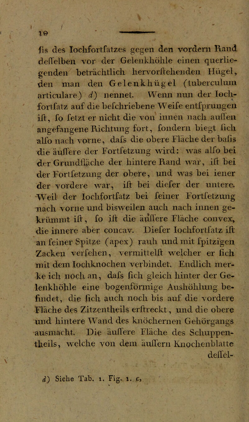 4 19 fis des loclifortfatzes gegen den vordem Rand dedelben vor der Gelenkhölile einen qnerlie- genden beträchtlich hervorftehenden Hügel, den man den Gelenkhügel (tuberculoin articulare) d) nennet. Wenn nun der loch- ' fortfatz auf die befchriebene Weife entfpruugen ift, fo fetzt er nicht die von innen nach auhen ^ngefangene Richtung fort, fondern biegt lieh allo nach vprne, dafs die obere Fläche der bafis die äuhere der Fortfetzung wird: was alfo bei der Grundfläche der hintere Rand war, ift bei der Fortfetzung der obere, und was bei iener der vordere war, ift bei diefer der untere. “Weil der loclifortfatz bei feiner Fortfetzung nach vorne und bisweilen auch nach innen ge- krümmt ift, fo ift die äußere Fläche convex, die innere aber concav. Diefer loclifortfatz ift an feiner Spit?;e (apex) rauh und mit fpitzigen Zacken verfehen, vermittelft wefcher er fich mit dem lochknochen verbindet. Endlich mer- ke ich noch an, dafs fich gleich hinter der Ge- lenkliöhle eine bogenförinige Aushöhlmig be- findet, die lieh auch noch bis auf die vordere Fläche des Zitzentheils erftreckt, und die obere und hintere Wand des knöchernen Gehörgangs ausmacht. Die ändere Fläche des Schuppen- theils, welche von dem äußern lüiochenblatte deßel- I