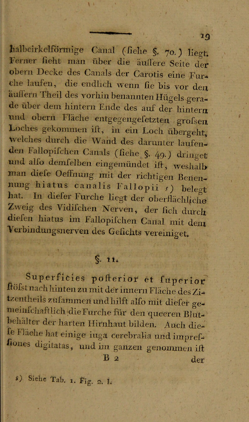 f \ » ■ 13' IialLclrkelförmige Canal (fielie §. 70.) liecrt. Ferner fieht man über die äullere Seite der Obern Decke des Canals der Carotis eine Fnr* die laufen, die endlich wenn fie bis vor deu auH'ern Tlieil des vorhin benannten Hügels gera- de über dem Jiintern Ende des auf der hintern und obern Fläche entgegengefetzten grofsen Loches gekommen ift, in ein Loch übergeht, \\elches durch die Wand des darunter laufen- den FaUopifchen Canals (fiehe §. 49.) diinget und alfo demfelben eingeinündet iff^ weshalb man diefe Oeffnung mit der richtigen Benen- nimg hiatus canalis Fallopii r) belegt hat. In diefer Furche liegt der oberflächhciie Zweig des Vidifchen Nerven, der ficli durch diefen hiatus im FaUopifchen Canal mit dem Veibindungsnerven des Gelichts vereiniget* » §. 11* Superficies pöfteriör et fuperior höfst nach hinten zu mit der innern Flache des Zi- tzentheils znfammen und hilft alfo mit diefer ge- nieiiifchaftlich^die Furche für den queeren Blut- behälter der harten Hirnhaut bilden. Auch die- fe Ilache hat einige iuga cerebralia und impref- fiones digitatas, und im ganzen genommen ift B 2 ' üer