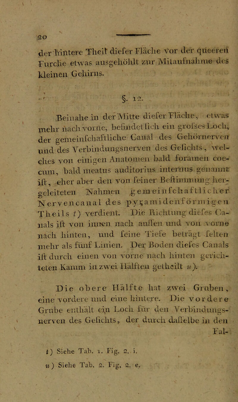 N der liintere Tlieit diefer Fläche vor der queeren Furche etwas ausgehöliit zur Miiaulnalinie des - kleinen Gehirns. §. 12. Beinahe in der Mitte diefer Fläche, etwas i\ach vorne, hehndetlich ein giolsesLoch, der gemeinfchaftliche Canal des Gehöriieiweii und des A^erhindungsnerveii des Gelichts , wel- ches von einigen Anatomen bald fprainen coe- cmn, bald meatus auditorius iiitenms genannt ift, eher aber den von feiner Beftimnumg her- geleiteten N alimen ^ e in e i n f c h a f 11 i c h e r Nervencanal des pyijainidenförinigen Theils t) verdient. Die Richtung diefes Ca- nals ift von innen nach aiilfen und von Amme nach hinten, und feine Tiefe beträgt feiten mehr als fünf Linien. Der Boden dielbs Canals ift durch einen von vorne nach hinten gerich- teten Kamm in zwei Hälften getlwilt u). Die obere Hälfte hat zwei G ruhen, eine vordere und eine hint^'e. Die v ordere Grube enthält ei,n Loch für den Verbinduiigs- nerven des Gelichts, der durch clailelbe in den • Fal- t) Siehe Tab. i. Fig. 2. i. t- u) Siehe Tah. 2. Fig. 2. e, ‘ /